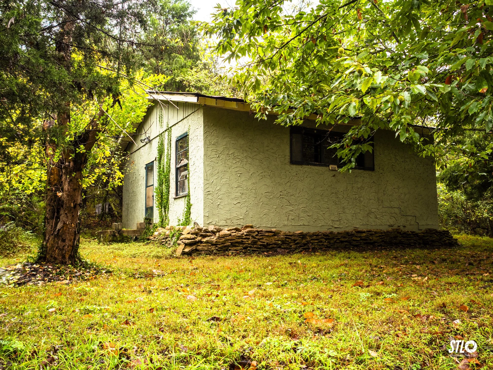 P1045359-9.jpg