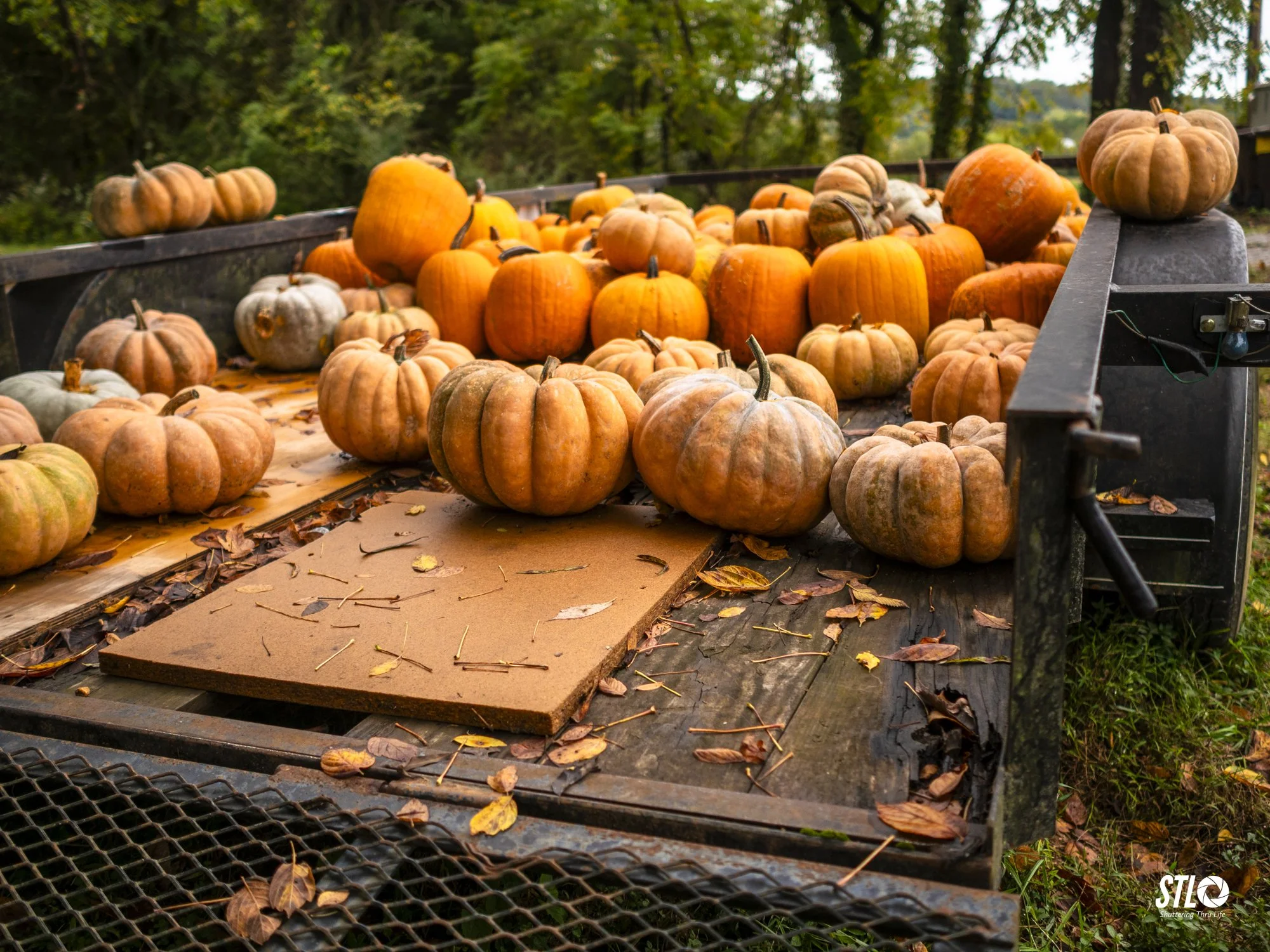 P1045509-23.jpg