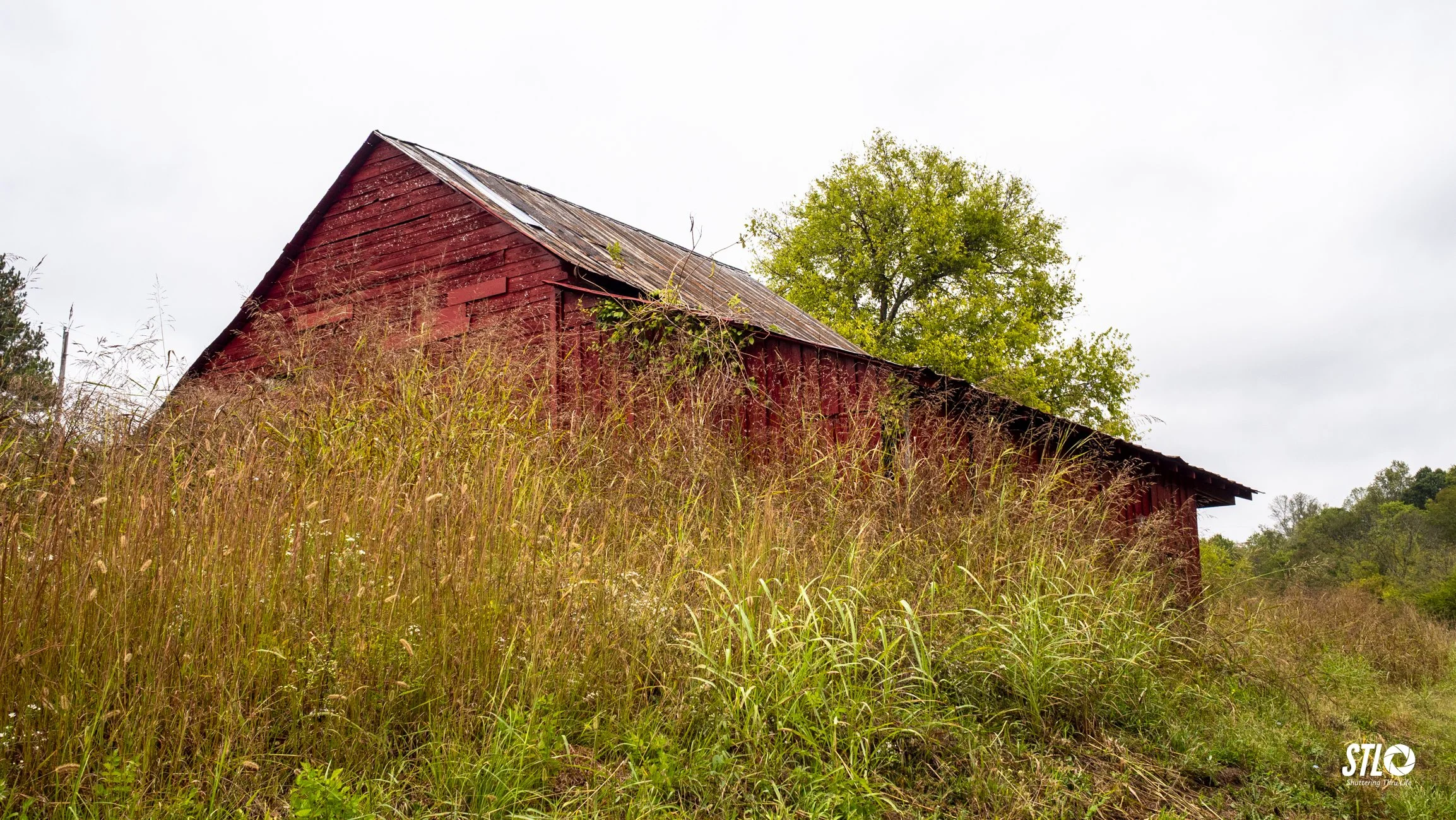 P1045514-26.jpg