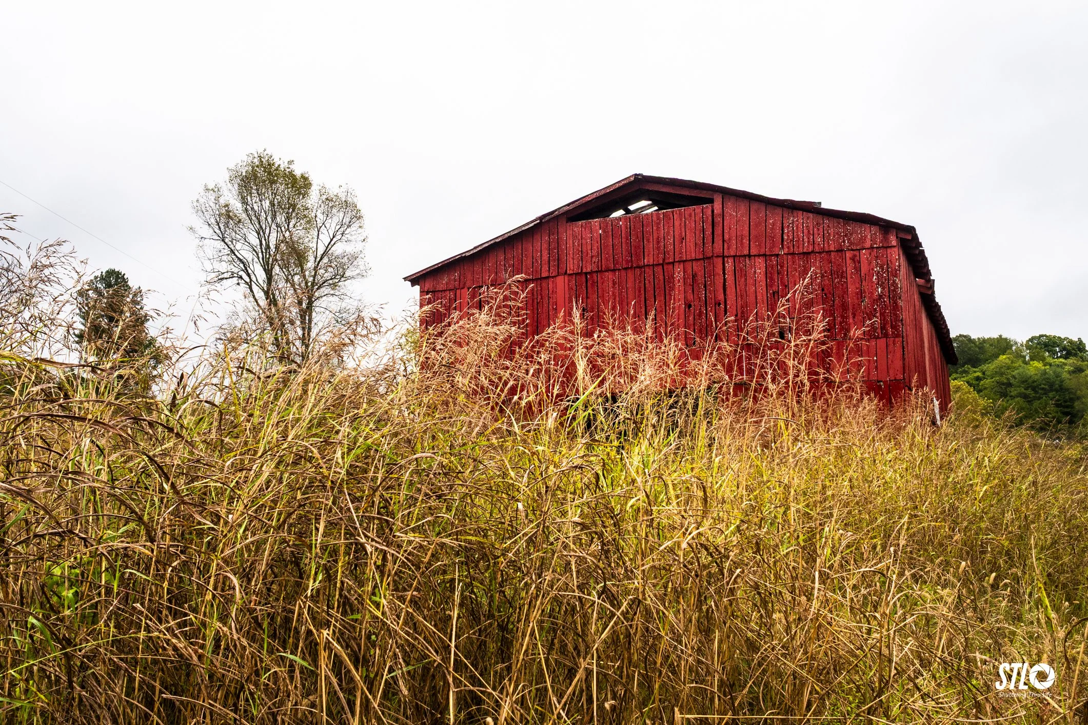 P1045515-27.jpg