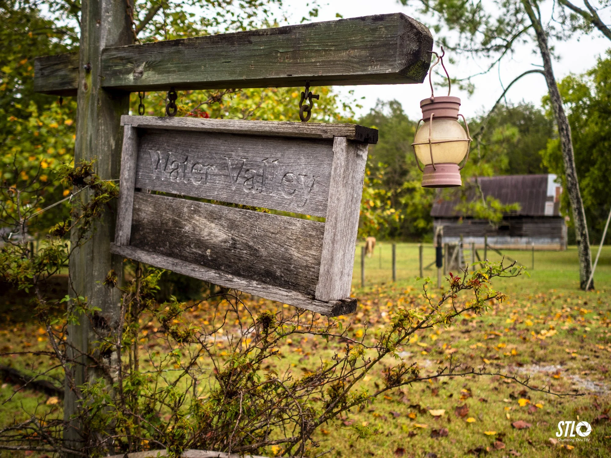 P1045531-33.jpg