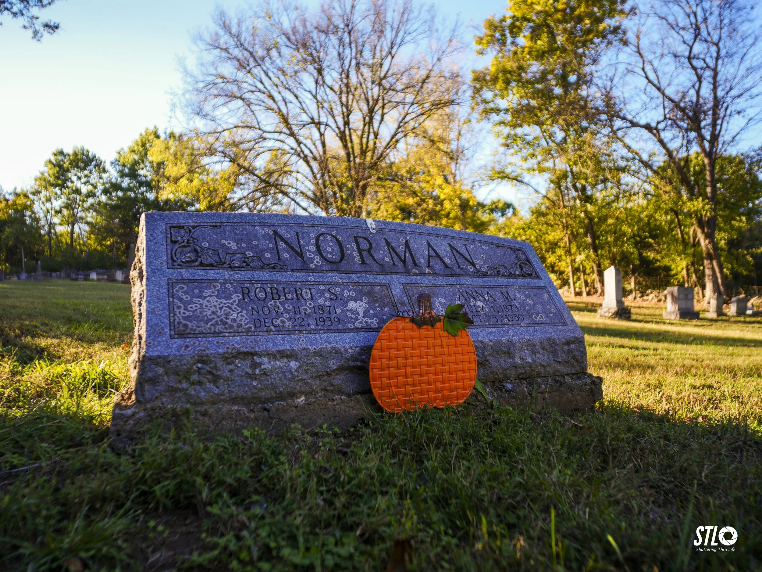 P1045745-6.jpg