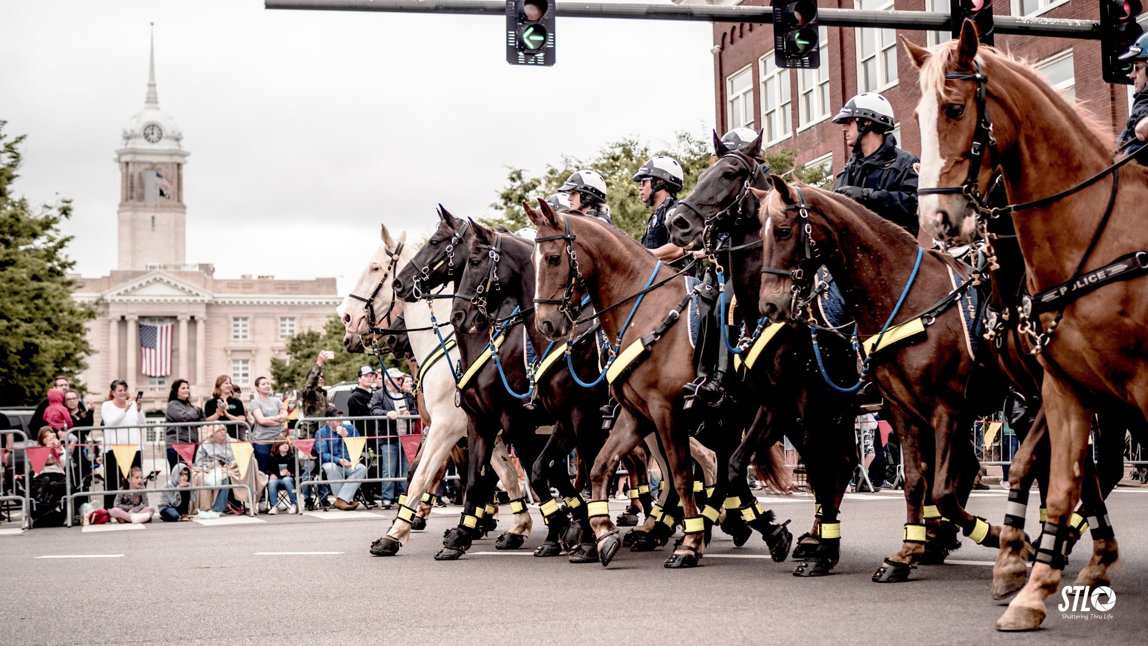 P5291771-Edit-5.jpg