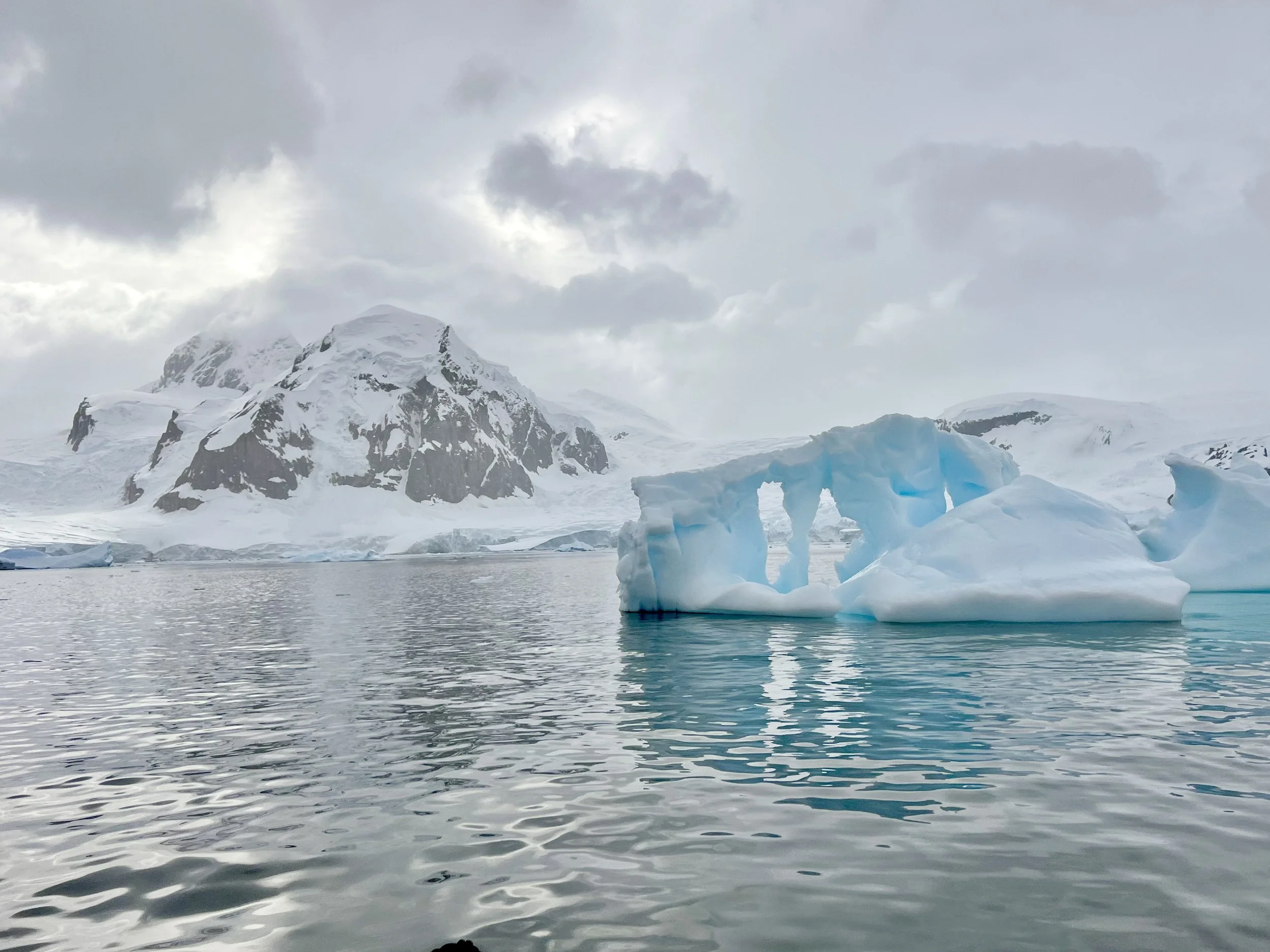 Blue iceberg with arches floating in calm water before snow-covered mountains in Antarctica — a scene that inspires Susan Brady's art