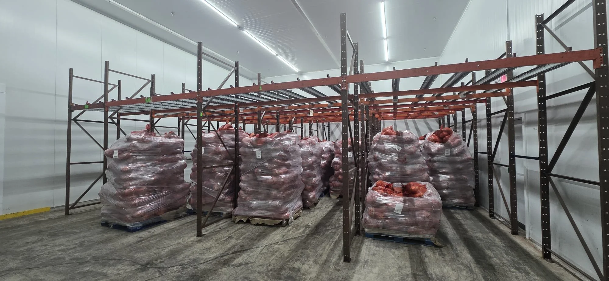 Empty storage room with metal shelving units and pallets of wrapped onions on a cement floor.
