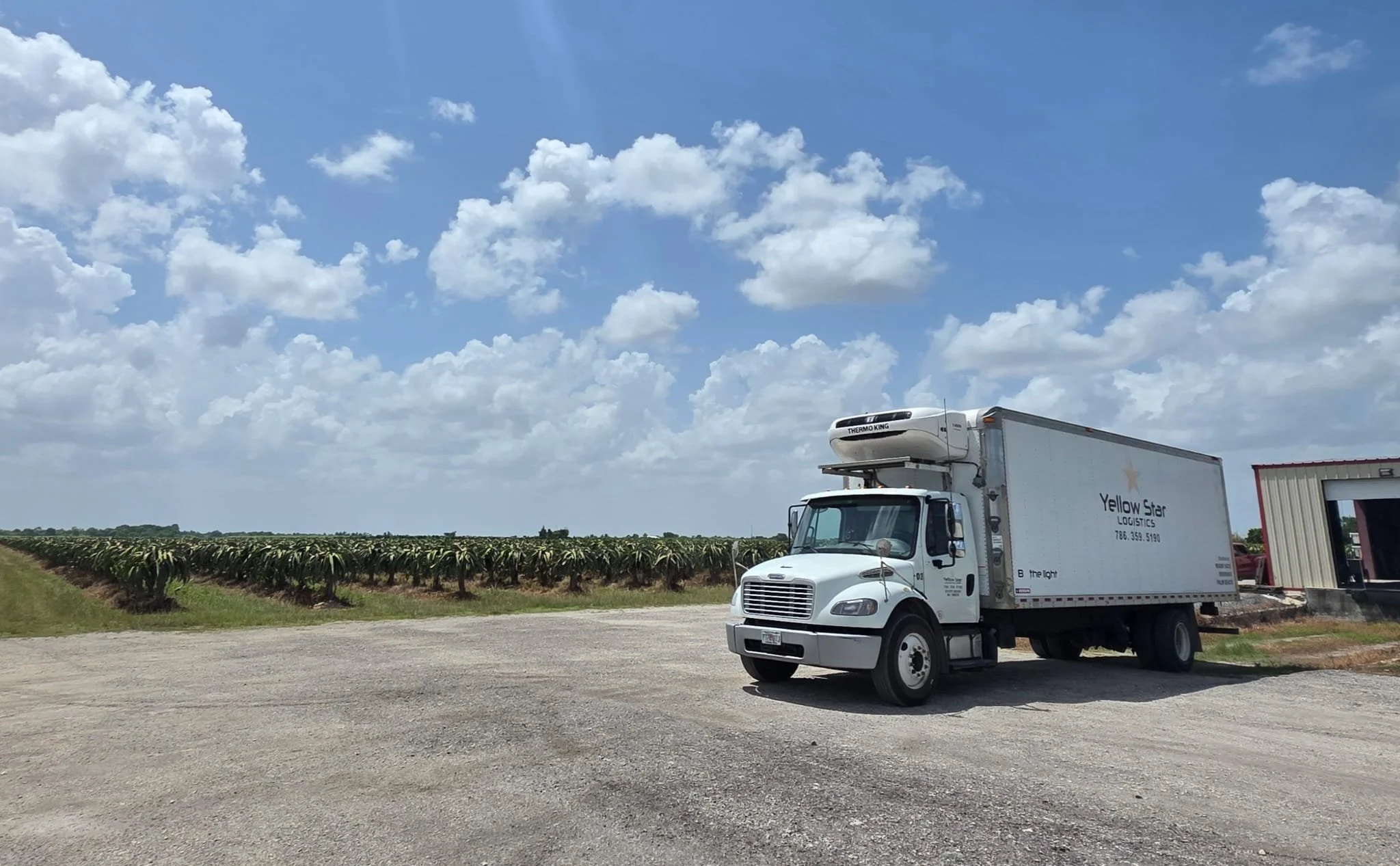 A white delivery truck with a refrigeration unit on top is parked on a rural gravel lot. In the background, there is a cornfield and a wide sky filled with white fluffy clouds.