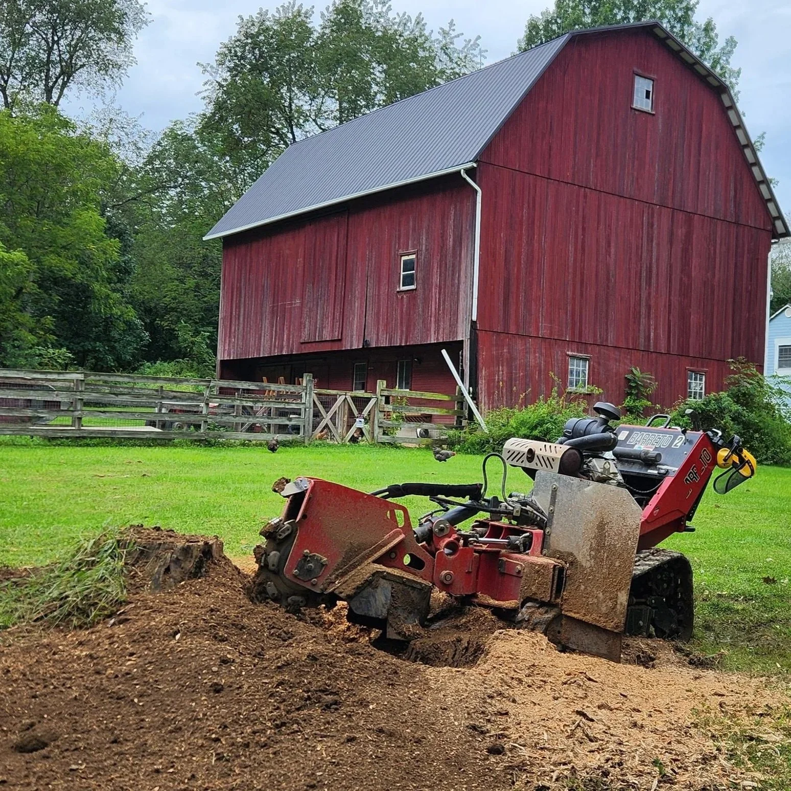 Stump Grinding