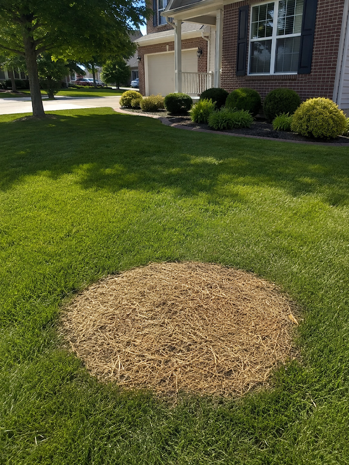Topsoil Placement