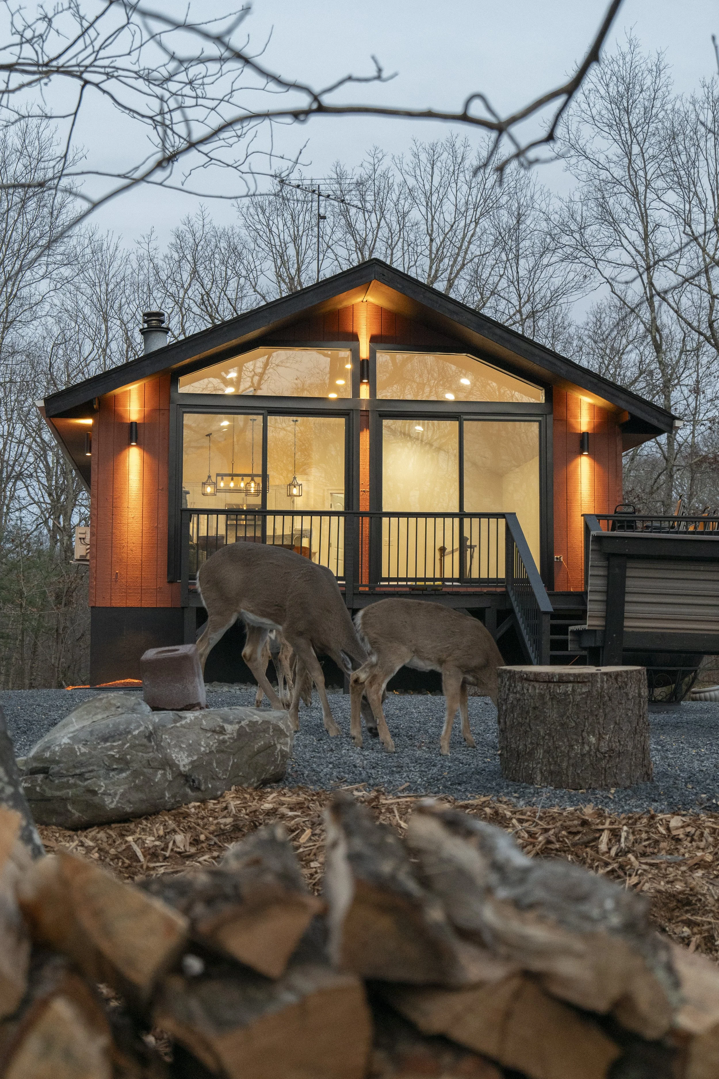 Isaac Argueta Cabin 4.jpg
