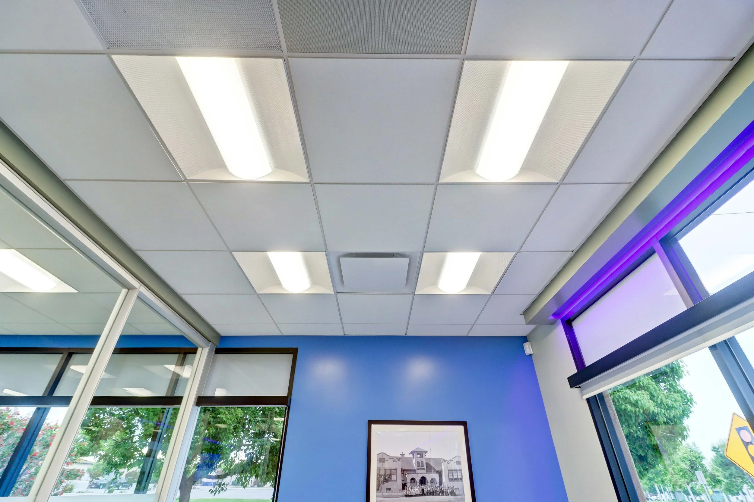Ceiling with white rectangular acoustic panels and fluorescent light fixtures, large windows with greenery outside, blue walls, and purple accent lighting across the window top.