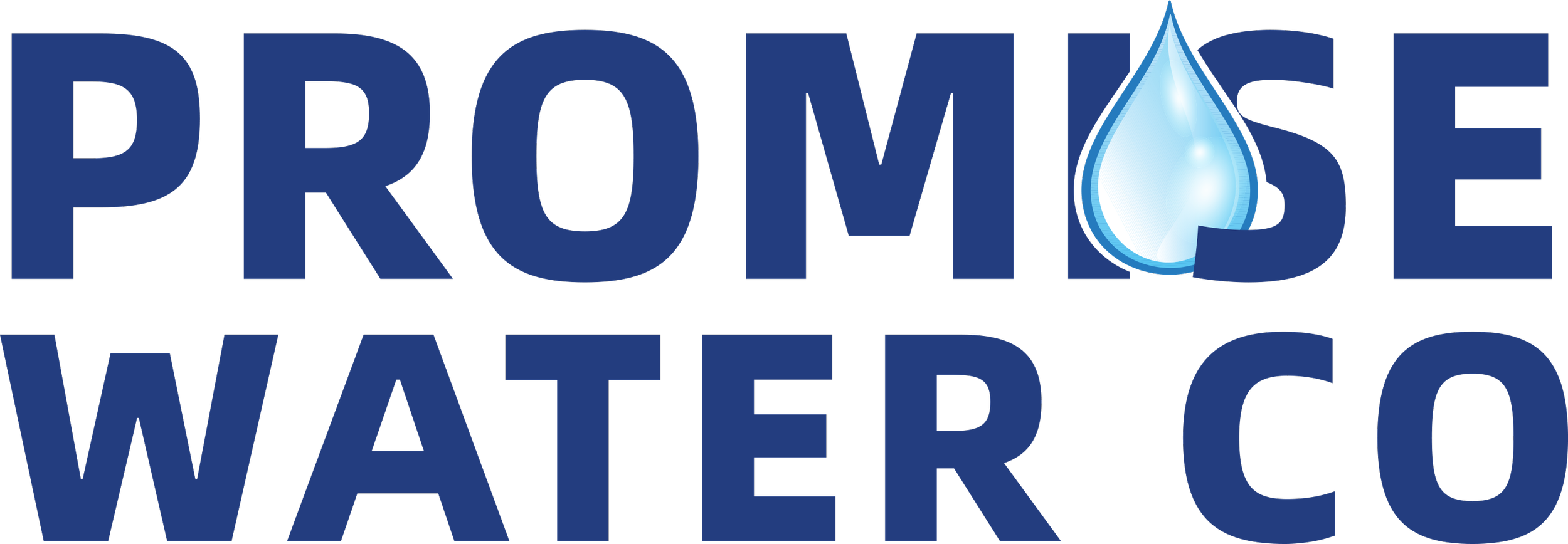 ProMise Water Co logo with blue text and a water droplet icon.