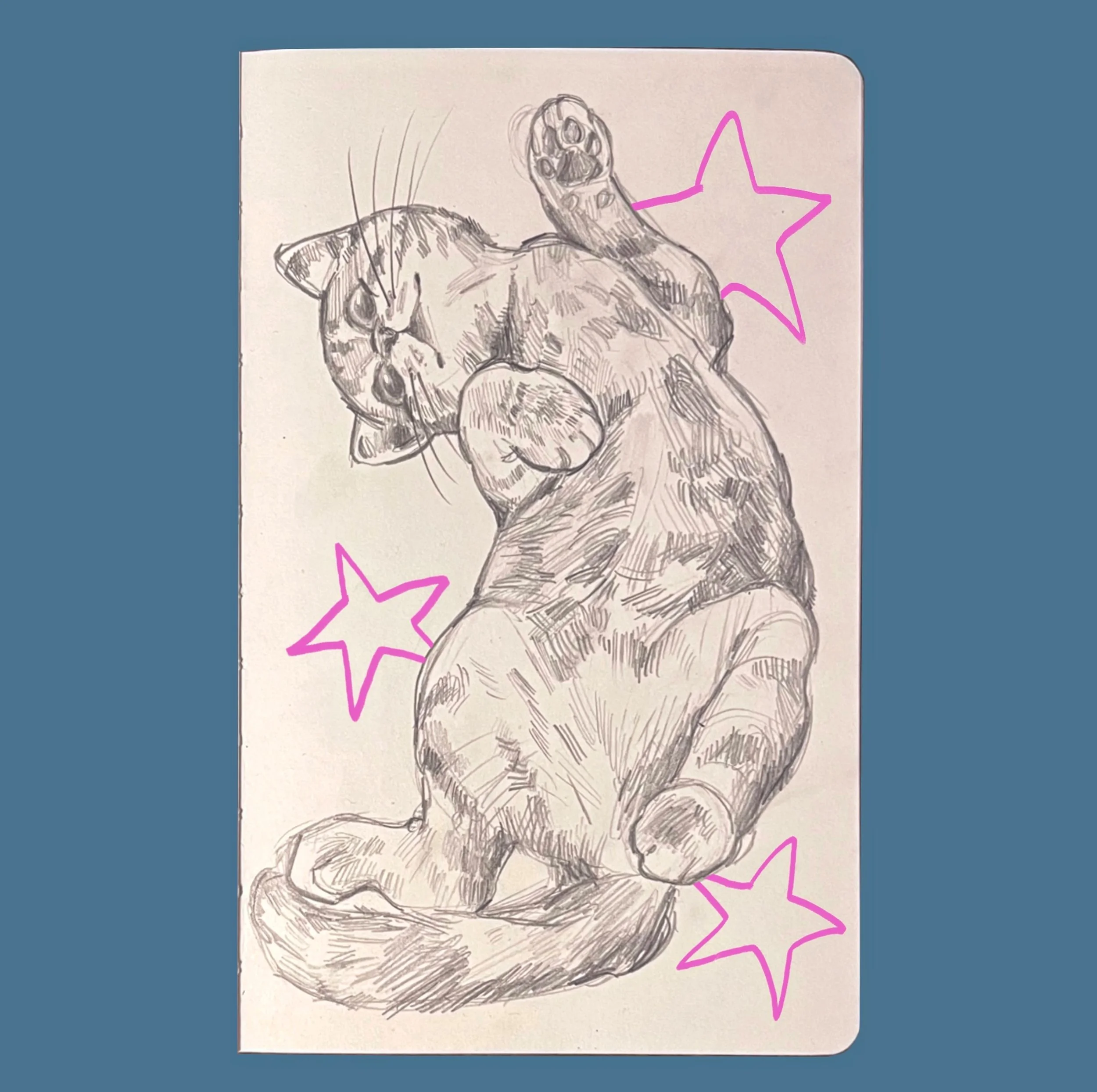 Just a lil guy ✨

#catartwork #graphitepencil #sketchbook