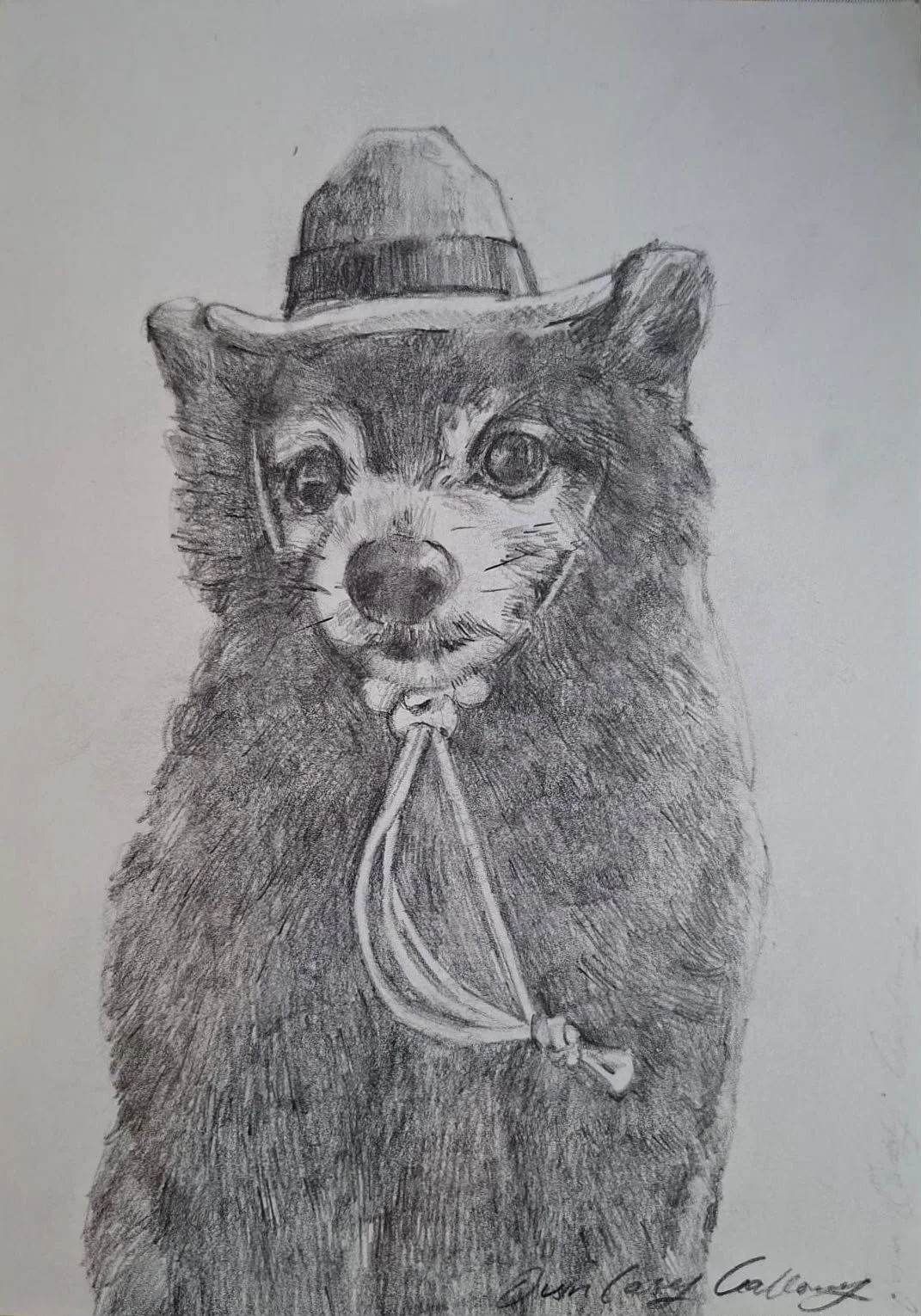 A sketch of a dog wearing a hat and a leash, drawn with pencil.