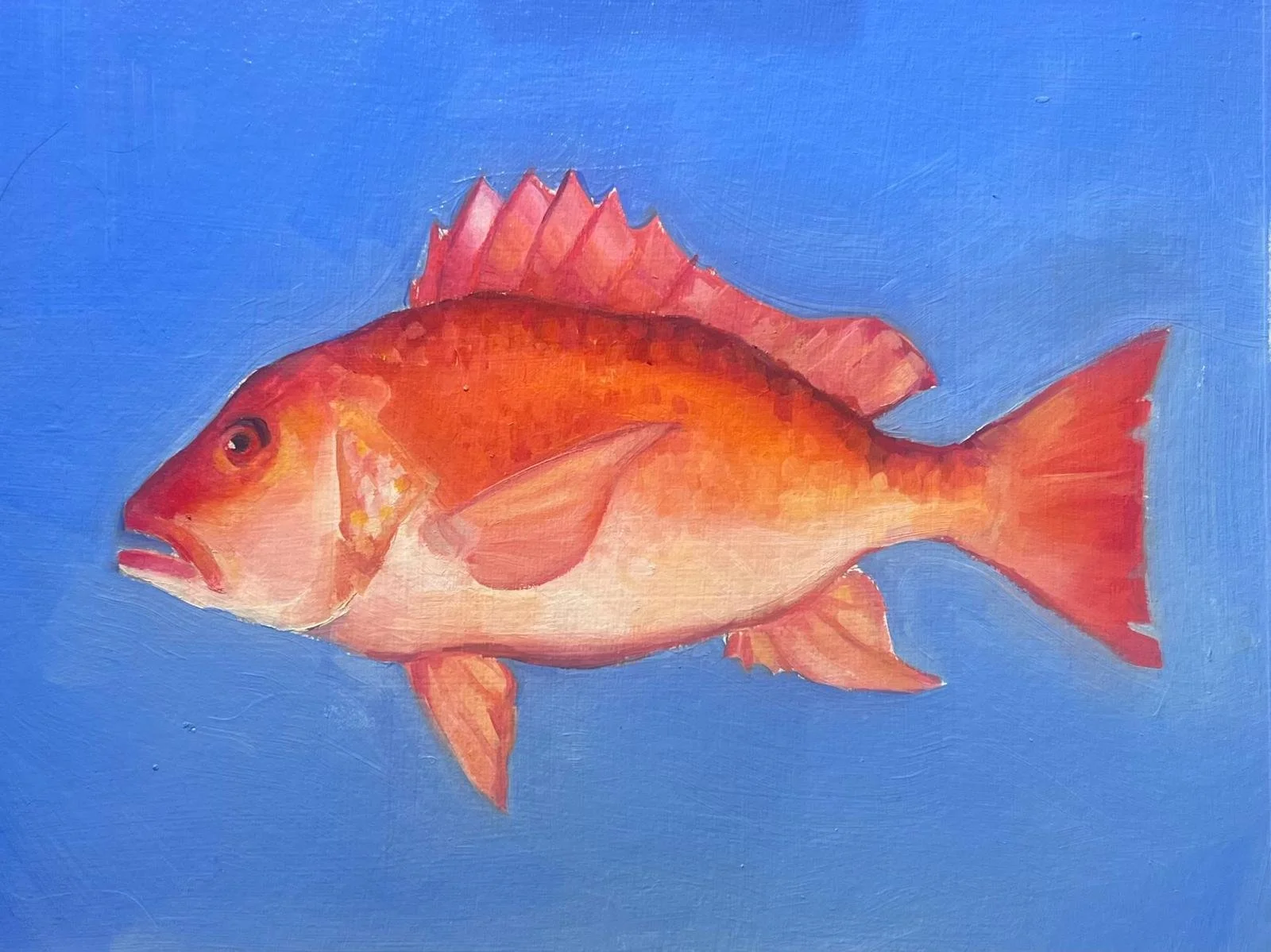 Painting of a red-orange fish with blue background.