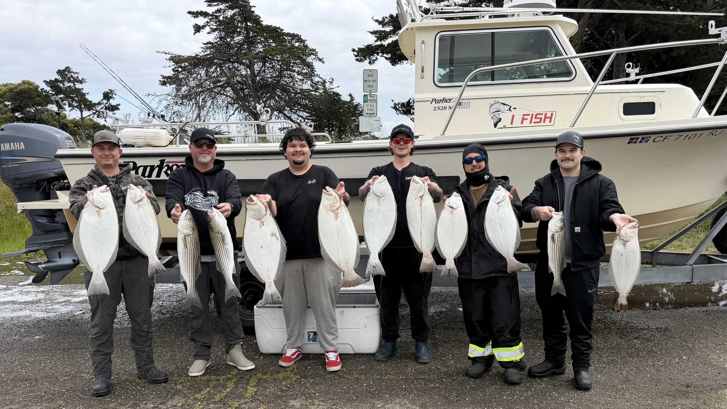 Halibut / Striper