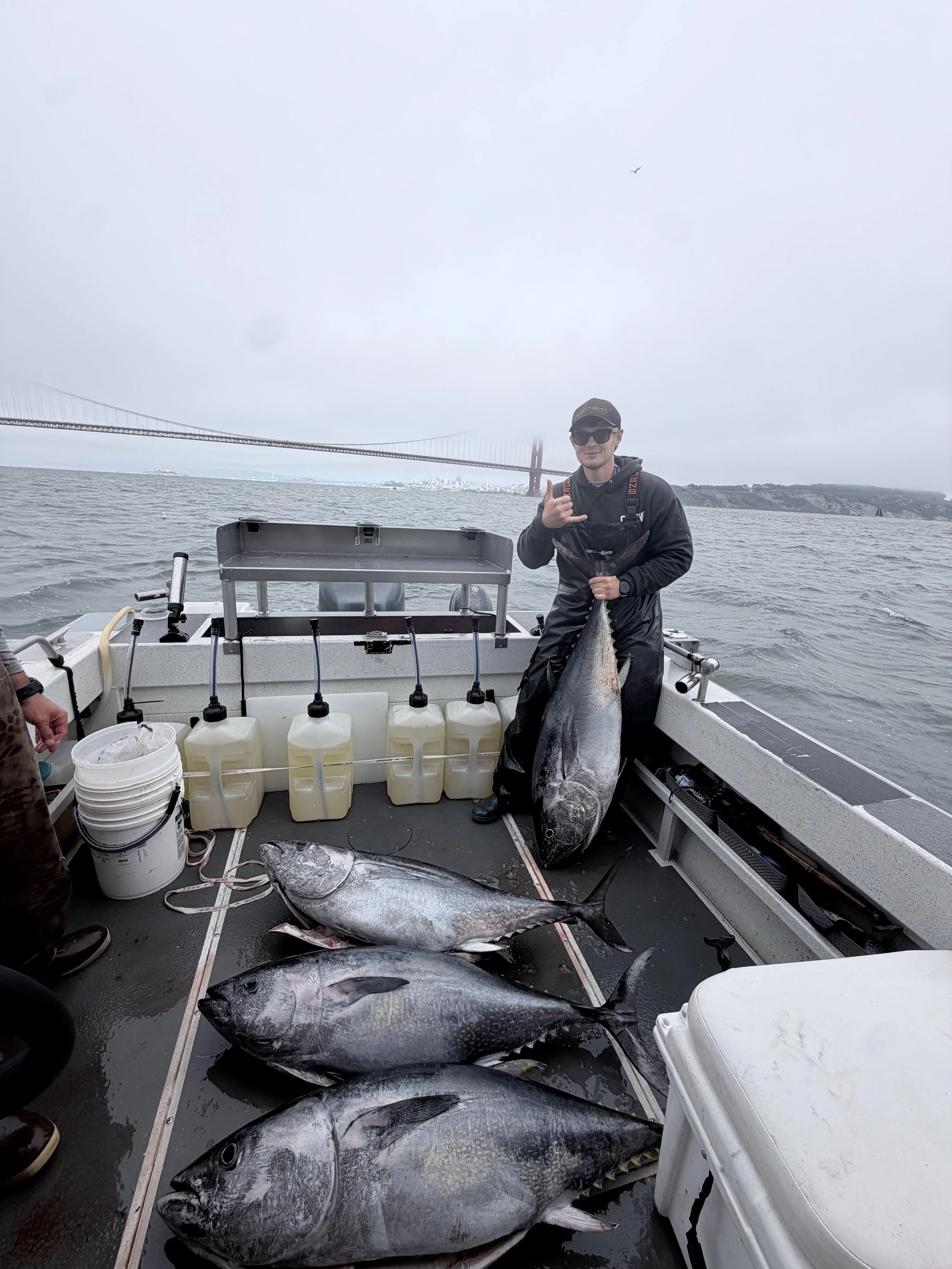Blue Fin Tuna