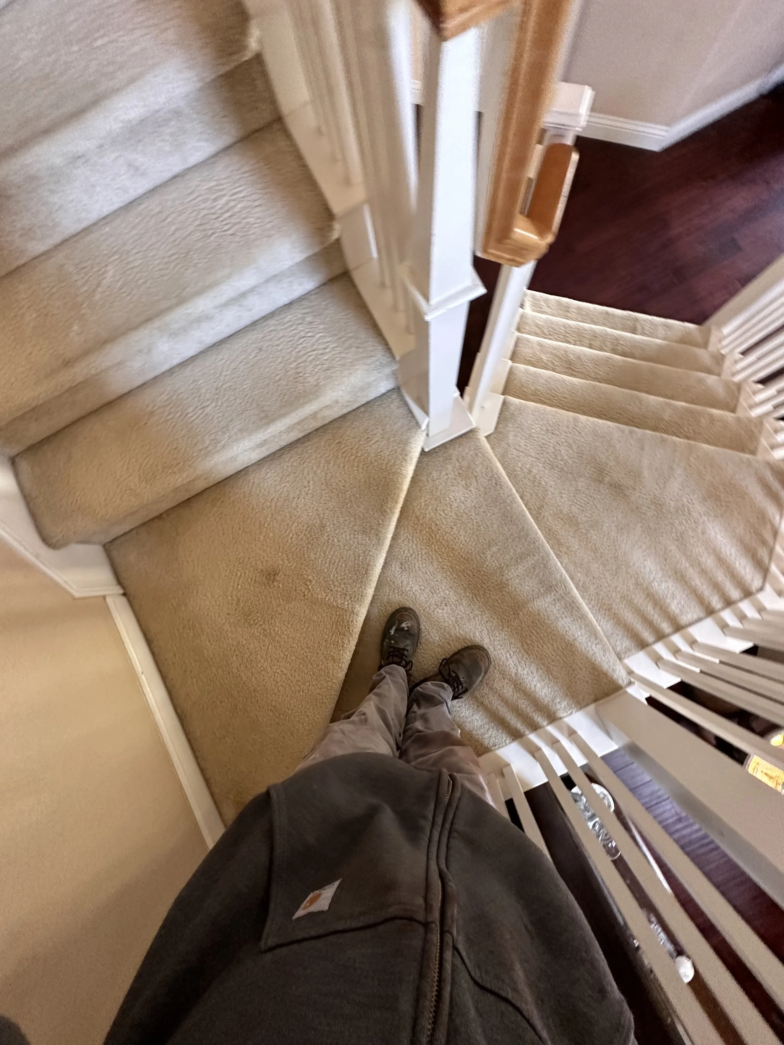 A dated carpet runner covered the original stair structure.
