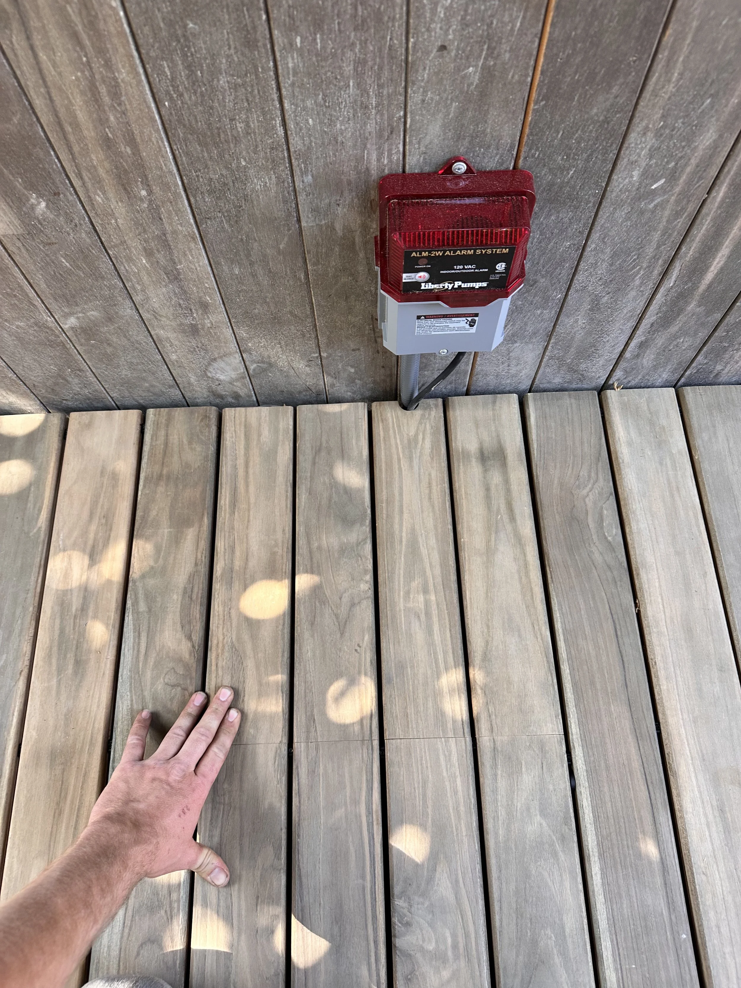 IMG_0733.jpeg