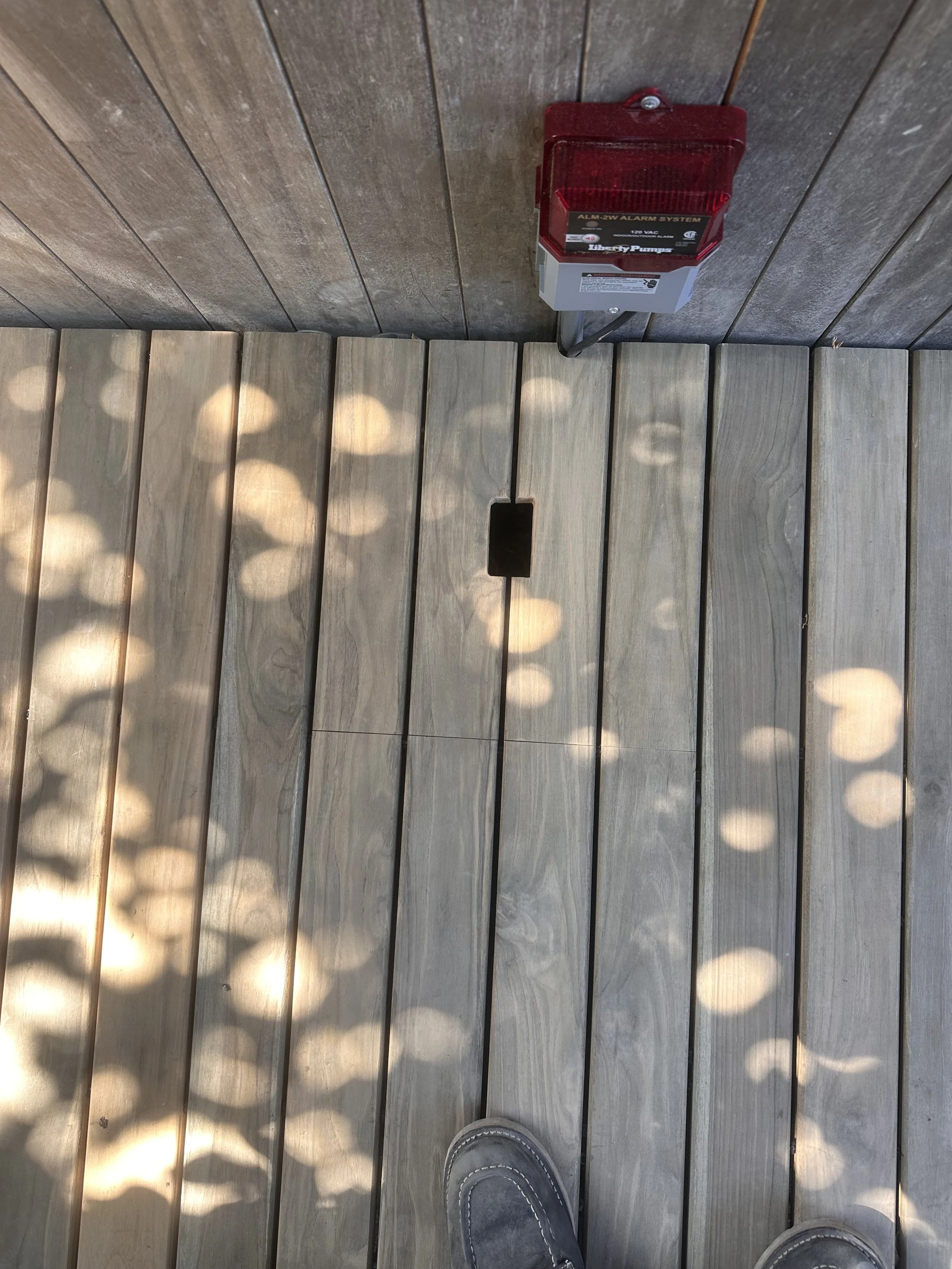 IMG_0736.jpeg