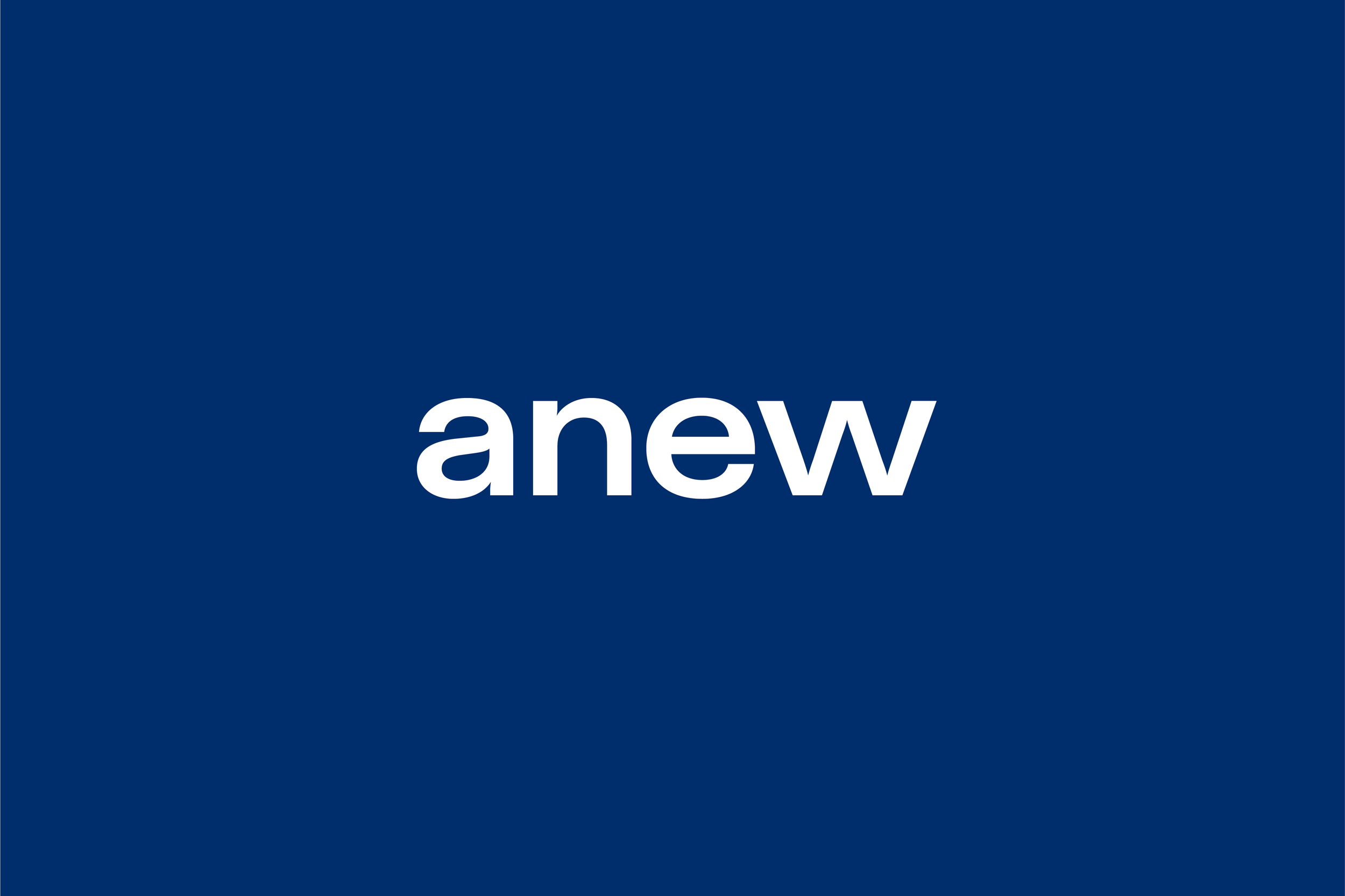 Anew Brand System