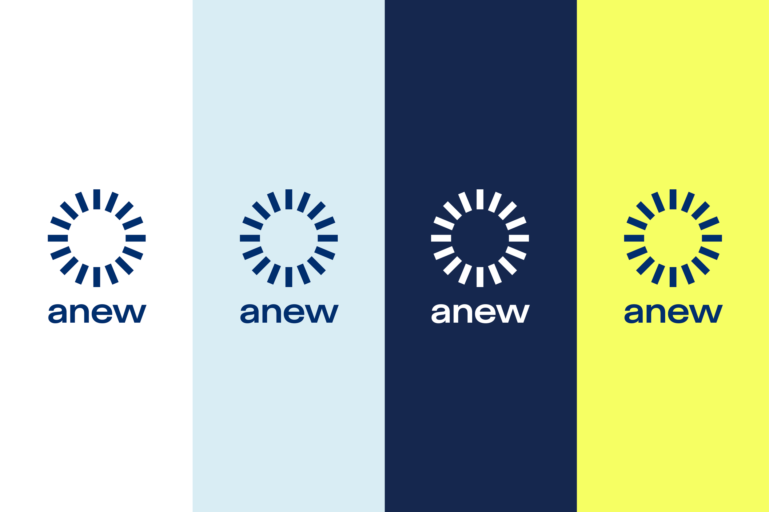 DMY_CaseStudy_Anew_2602137.png