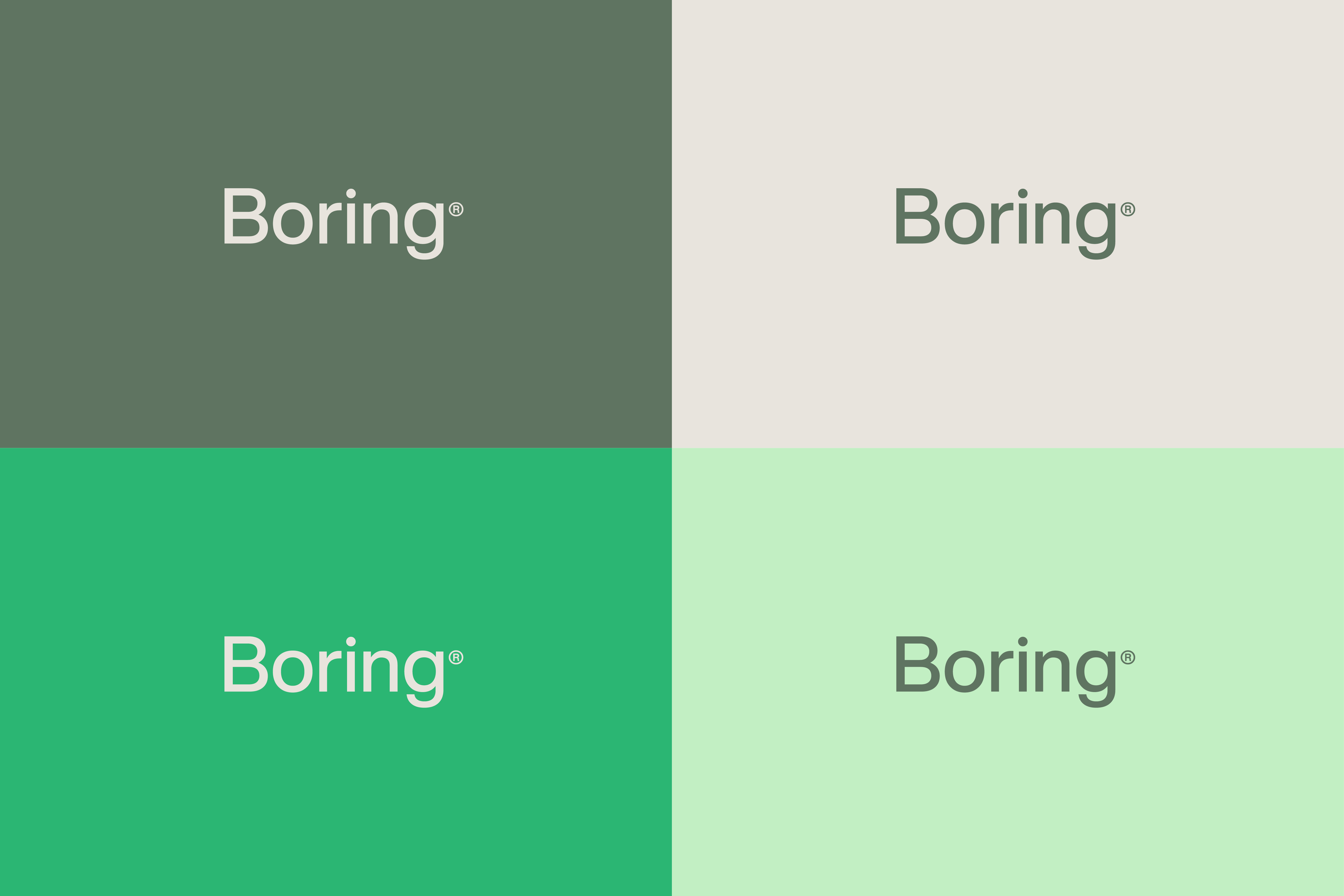 Boring Colours and Wordmark