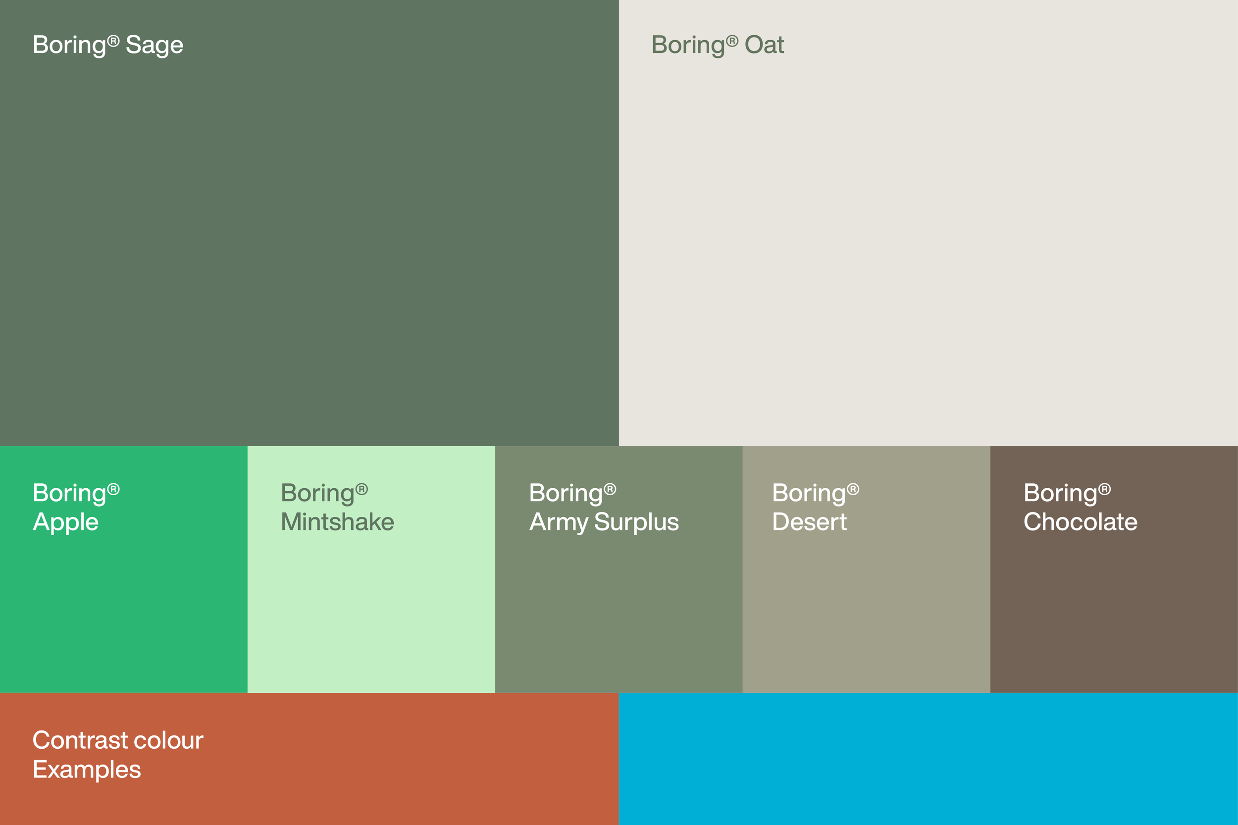 Boring Colours and Wordmark