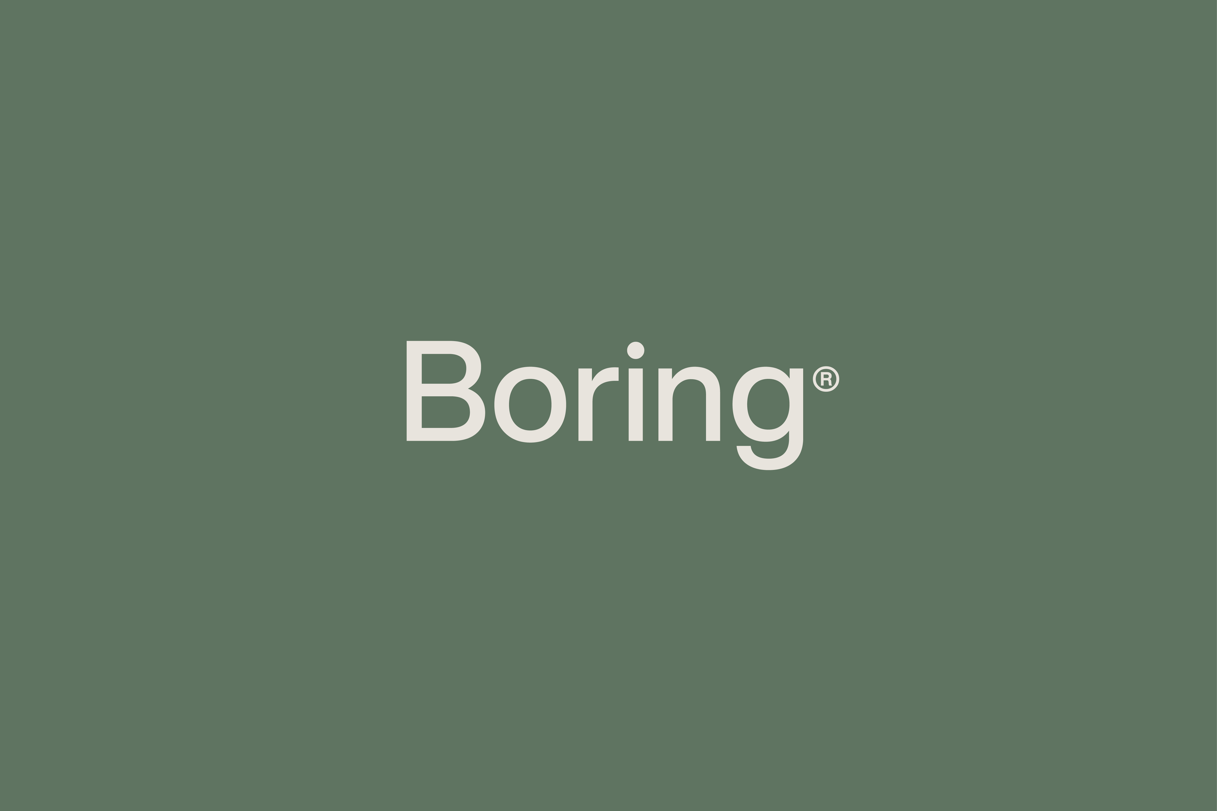 Boring Colours and Wordmark