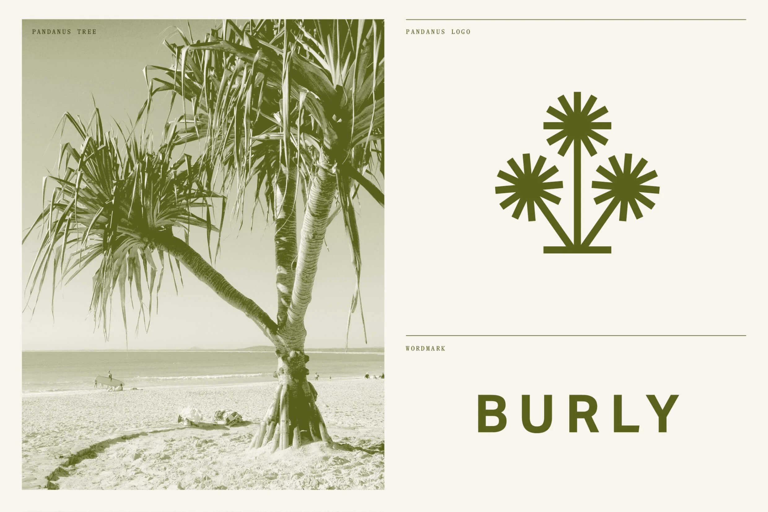 DMY_CaseStudy_Burly_241030_8.jpg