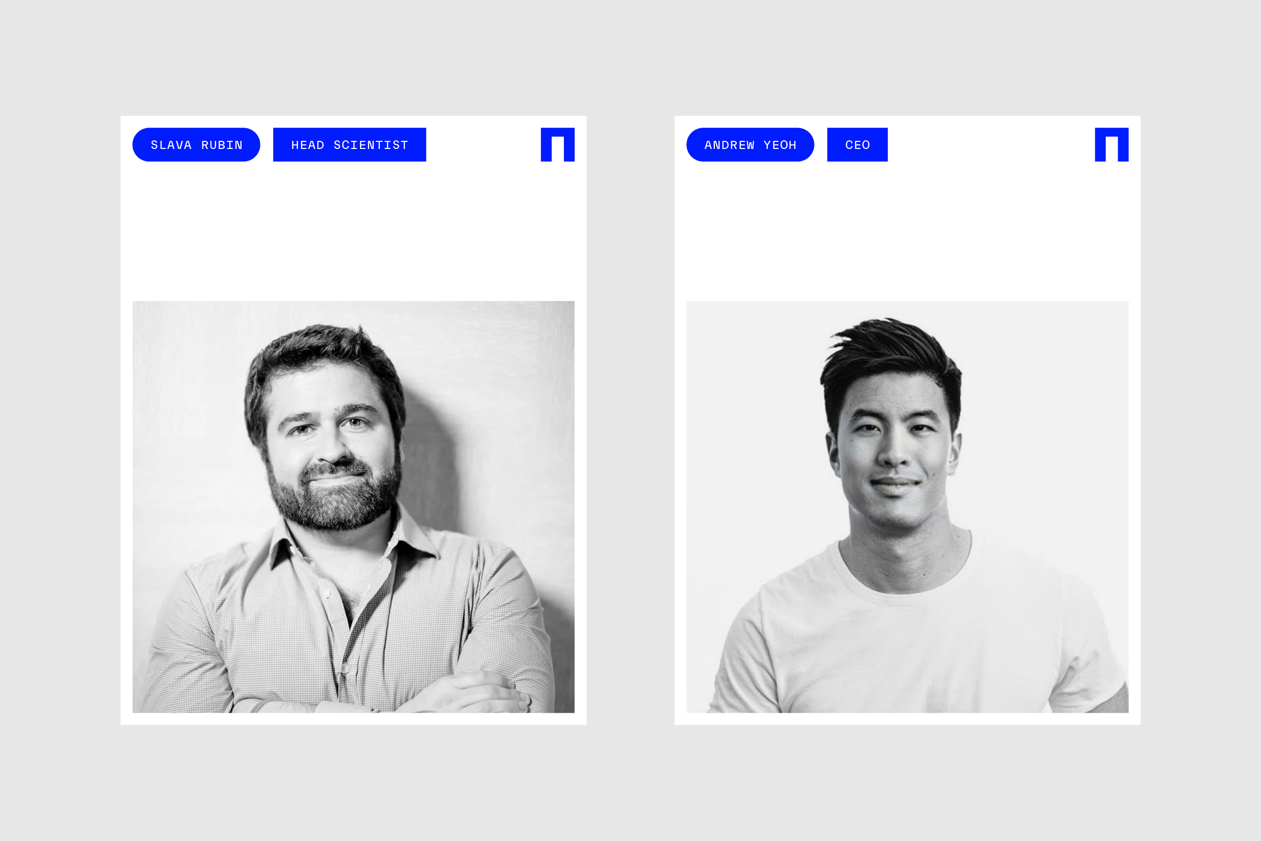 Nillion Graphic System