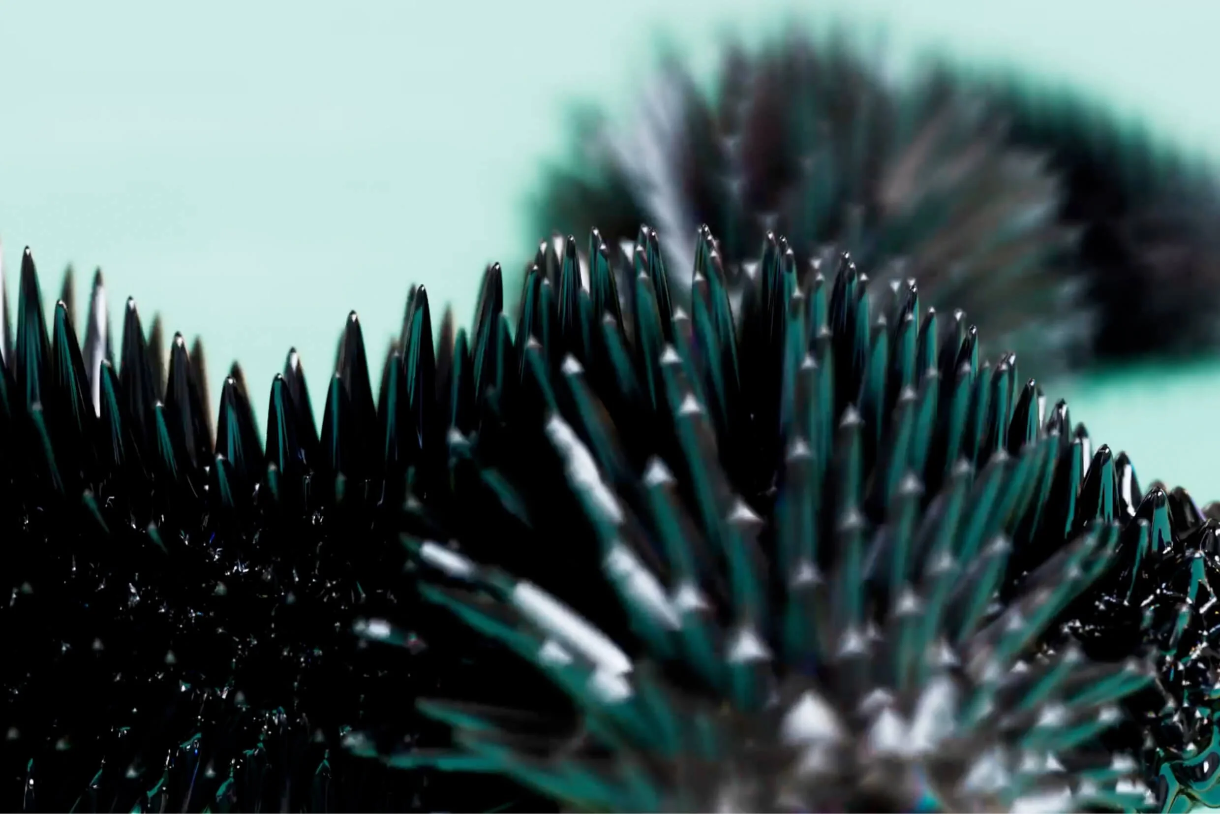 DMY_CaseStudy_TheFuture_241031_3.jpg