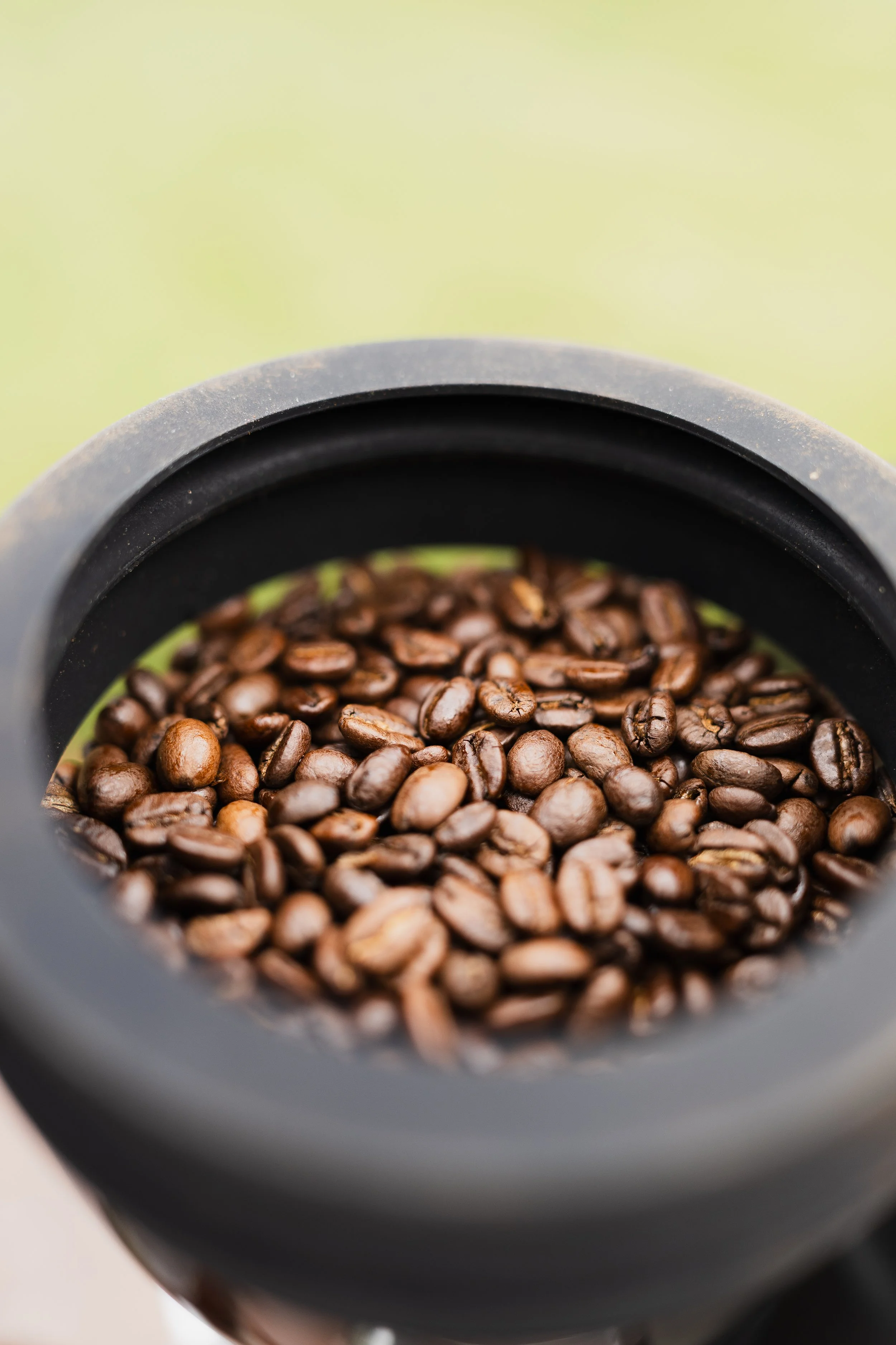 Close-up of roasted coffee beans in a black container with a green background.