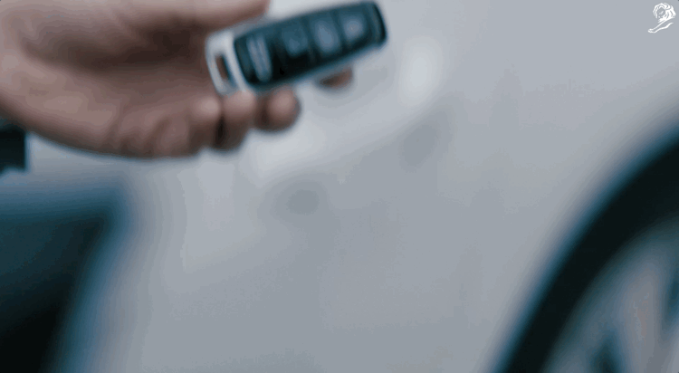 Close-up of a hand holding a car key fob with buttons.