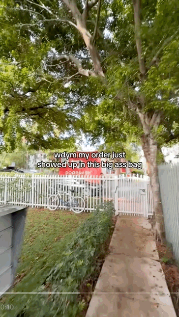 View of a backyard with a tall tree, a wooden fence, a sidewalk, and a gate. Part of a skateboard and some bicycles are visible near the fence.