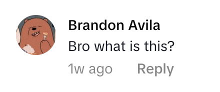 Comment by Brandon Avila asking, 'Bro what is this?' on a social media post.