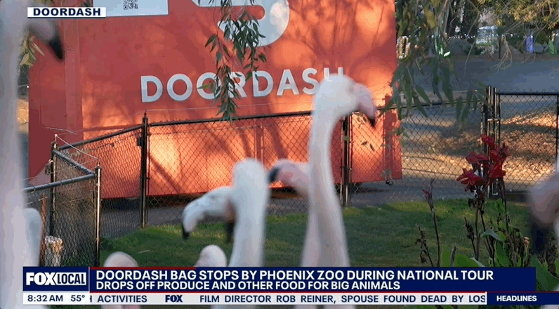 zoo+news+flamingo.gif