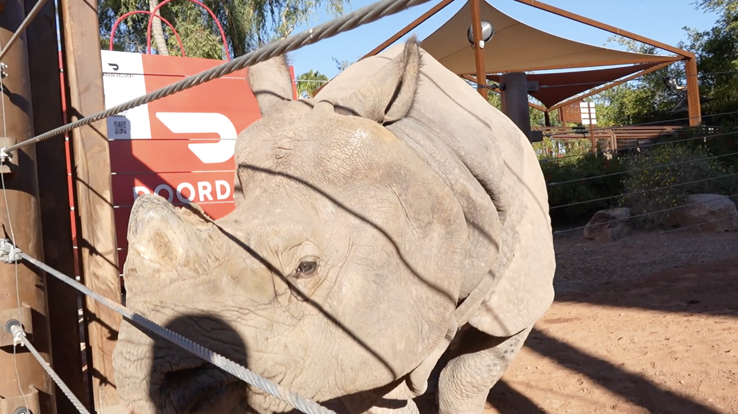 Zoo chuti.png
