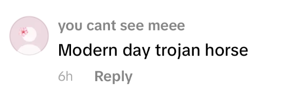 Comment indicating a modern day Trojan horse.