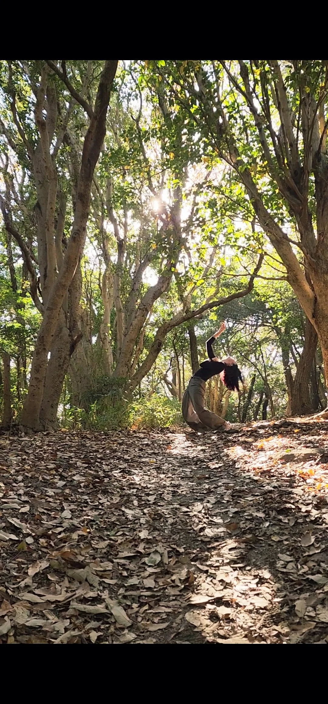 Person dancing in a forest with sunlight filtering through trees, fallen leaves on the ground.