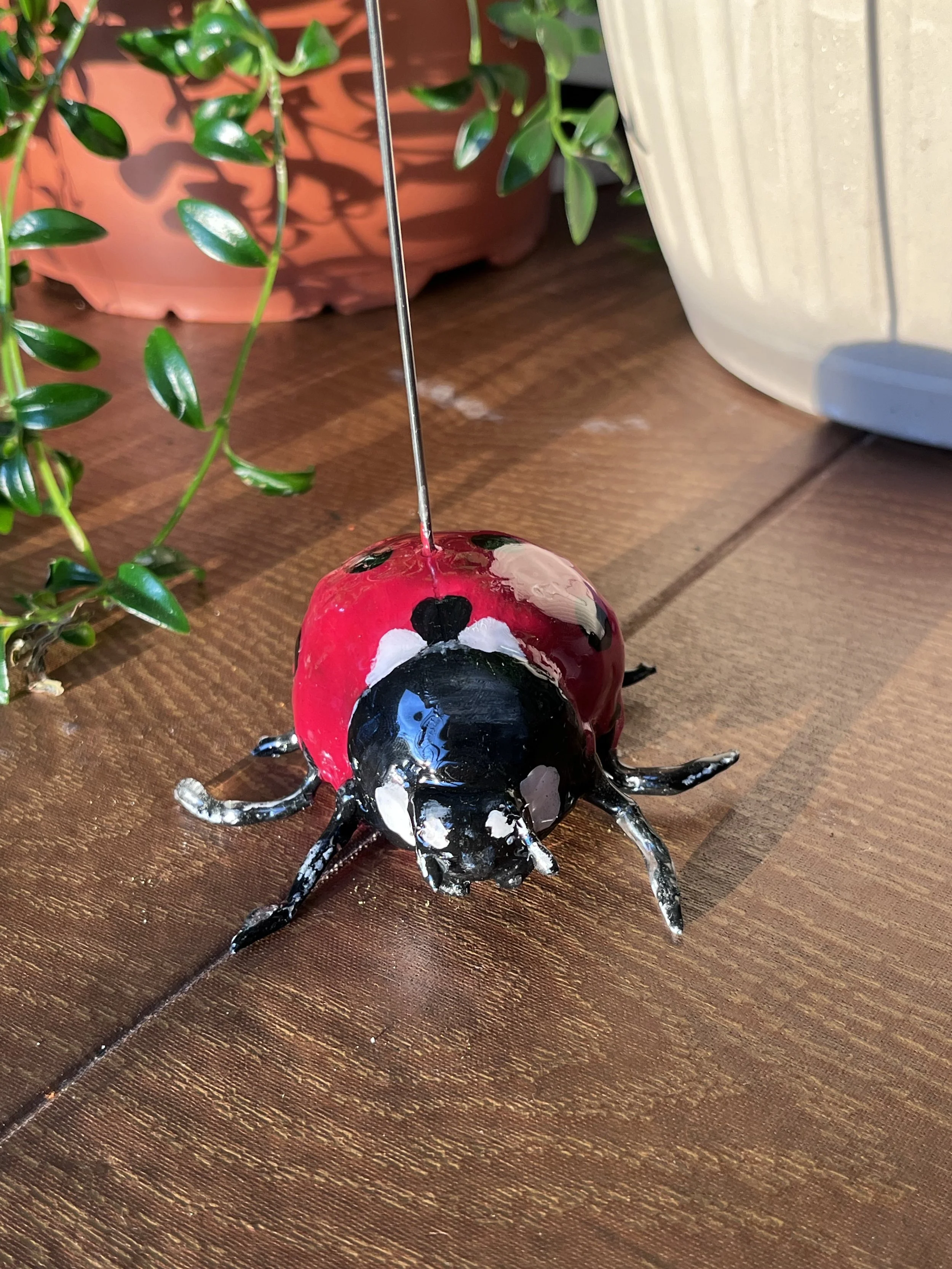 Ladybug Photo Holder🐞