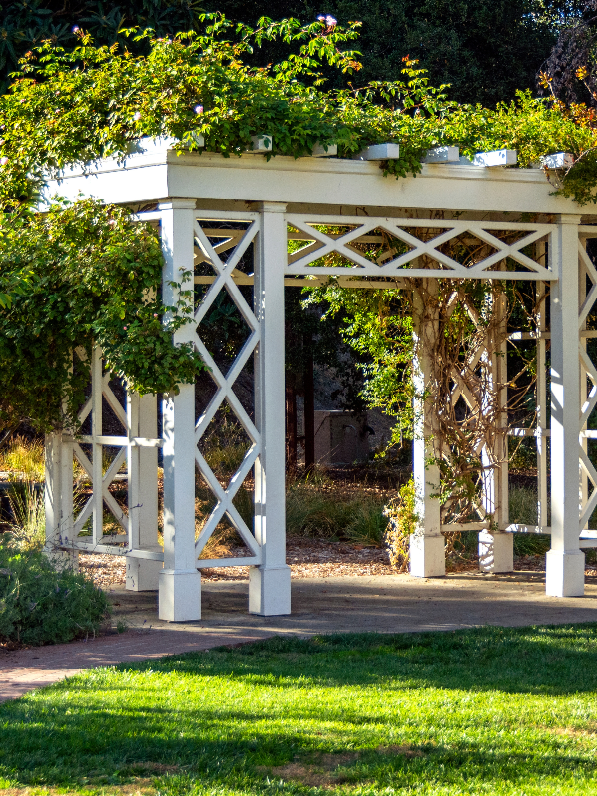Custom white-painted garden arbor designed for climbing plants and photos in a Chicagoland backyard.