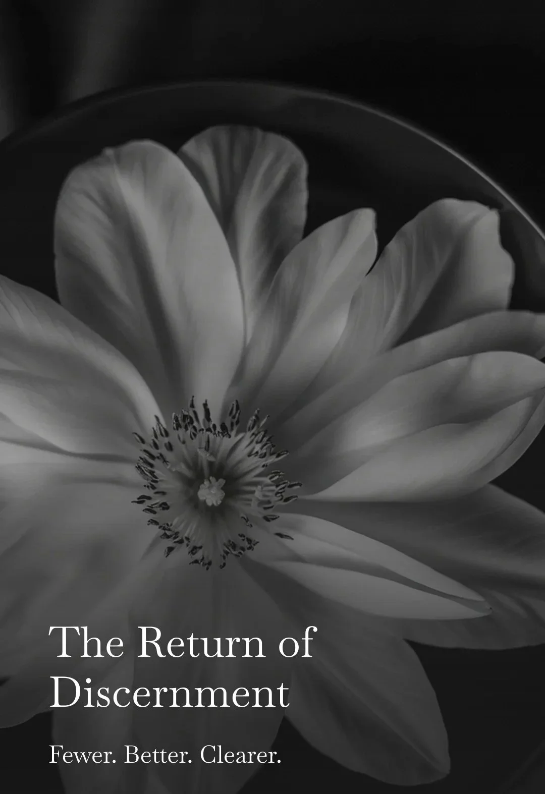 Black and white cover image with a close-up of a flower. Title: 'The Return of Discernment'. Subtitle: 'Fewer. Better. Clearer.'