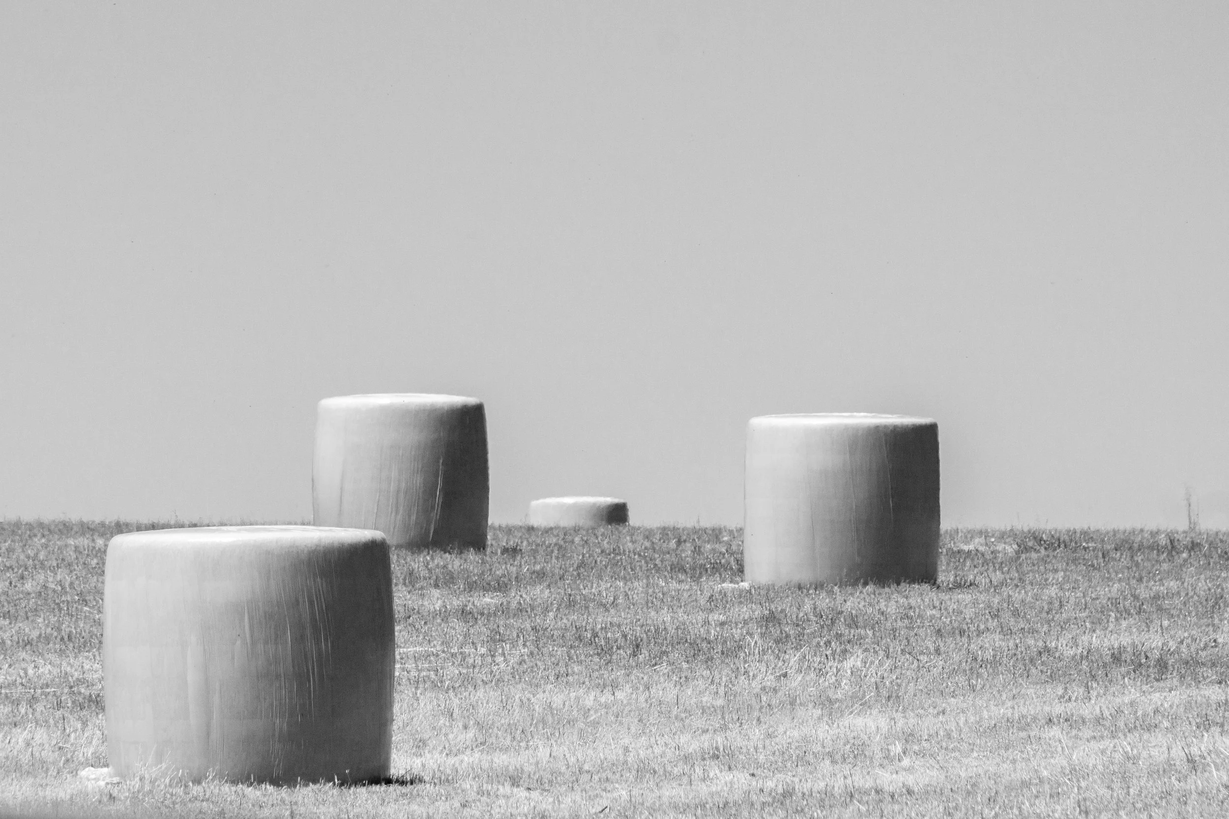 Hay bales scattered across a harvested field near Fernbank.