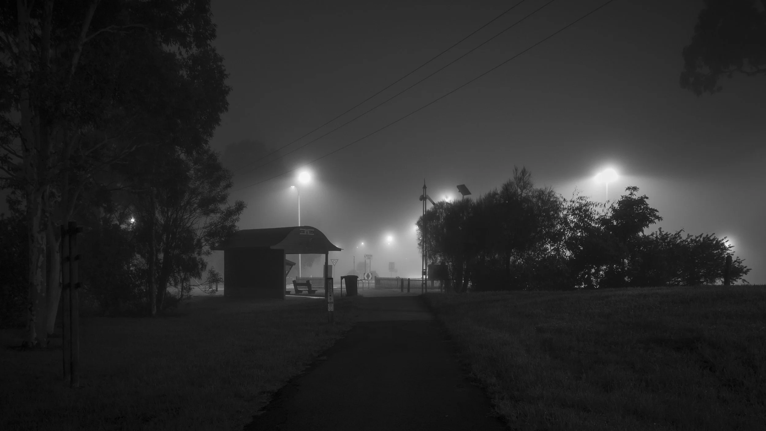 Morning fog settles over Howitt Park, Bairnsdale, as the path disappears into the mist.