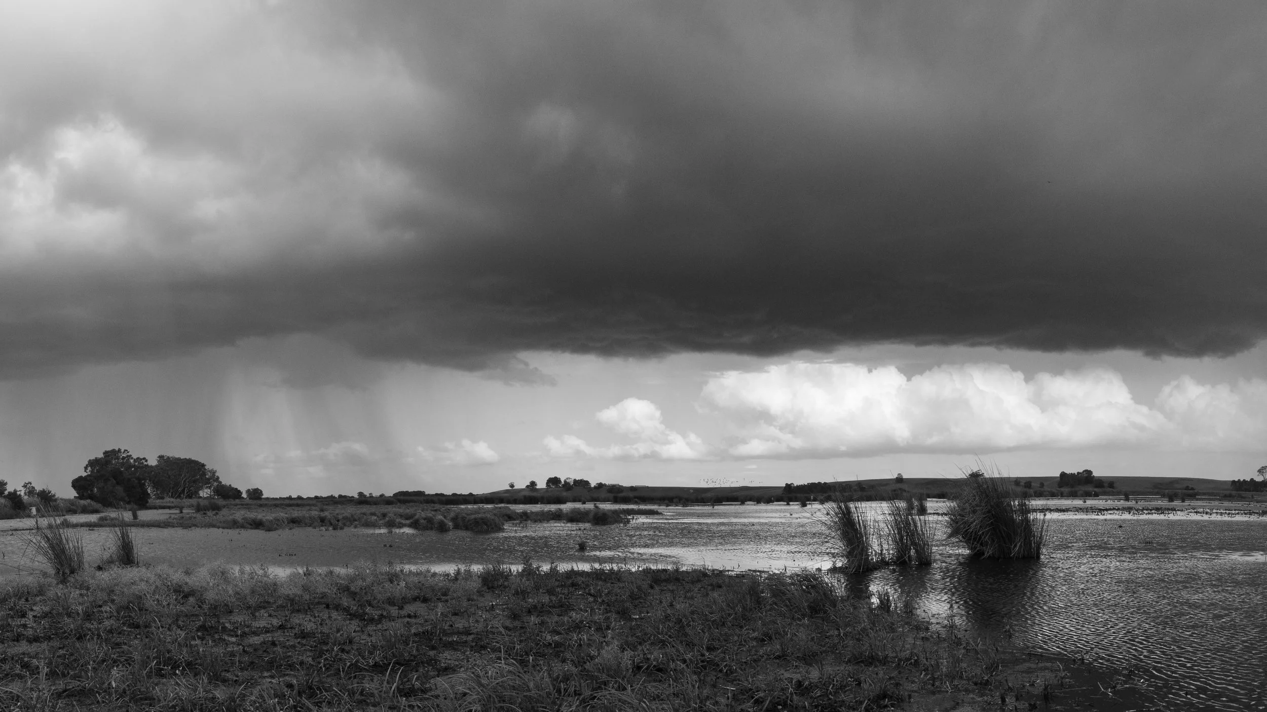 By the time I arrived, the rain was already falling across the other side of the morass. I stayed for a while watching the storm move across the landscape, with patches of light appearing between the clouds.
