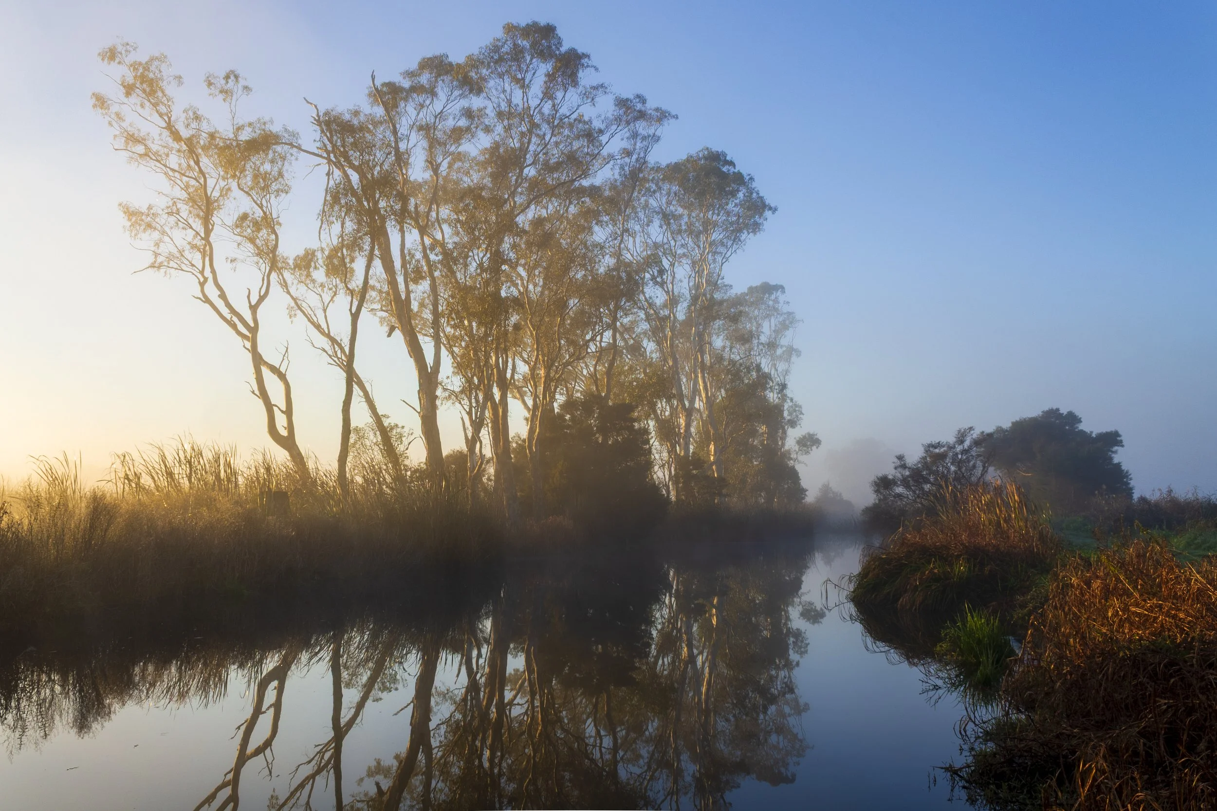 I came down before sunrise and waited for the light to reach the water. For a few minutes, the mist held the reflections almost perfectly still.