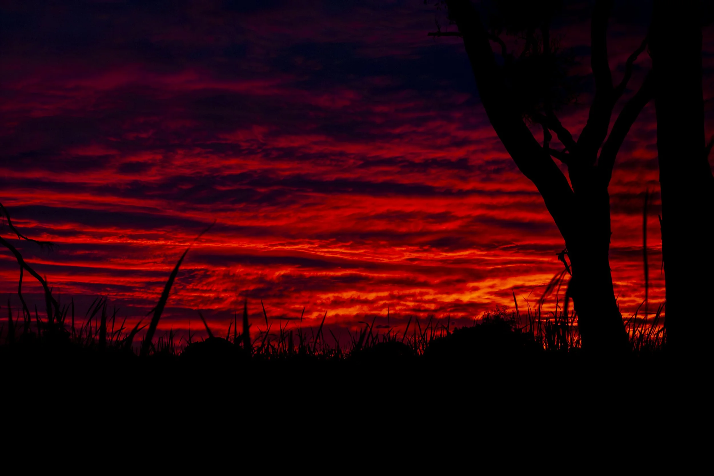 The sky looked almost unreal that morning. I remember standing there wondering whether the camera would actually capture what I was seeing.
