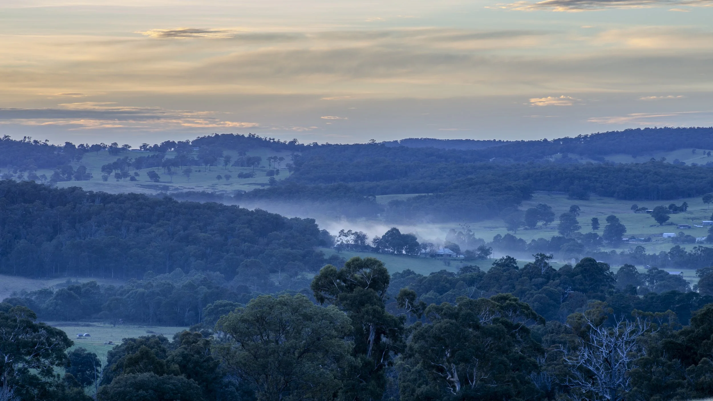 Mist settles across the valley at first light.