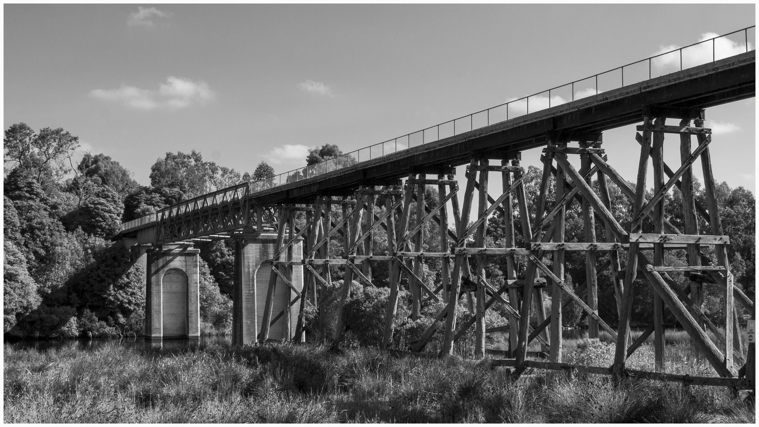 Black and white view of the long timber trestle railway bridge at Nicholson, with concrete piers at the left and trees behind.