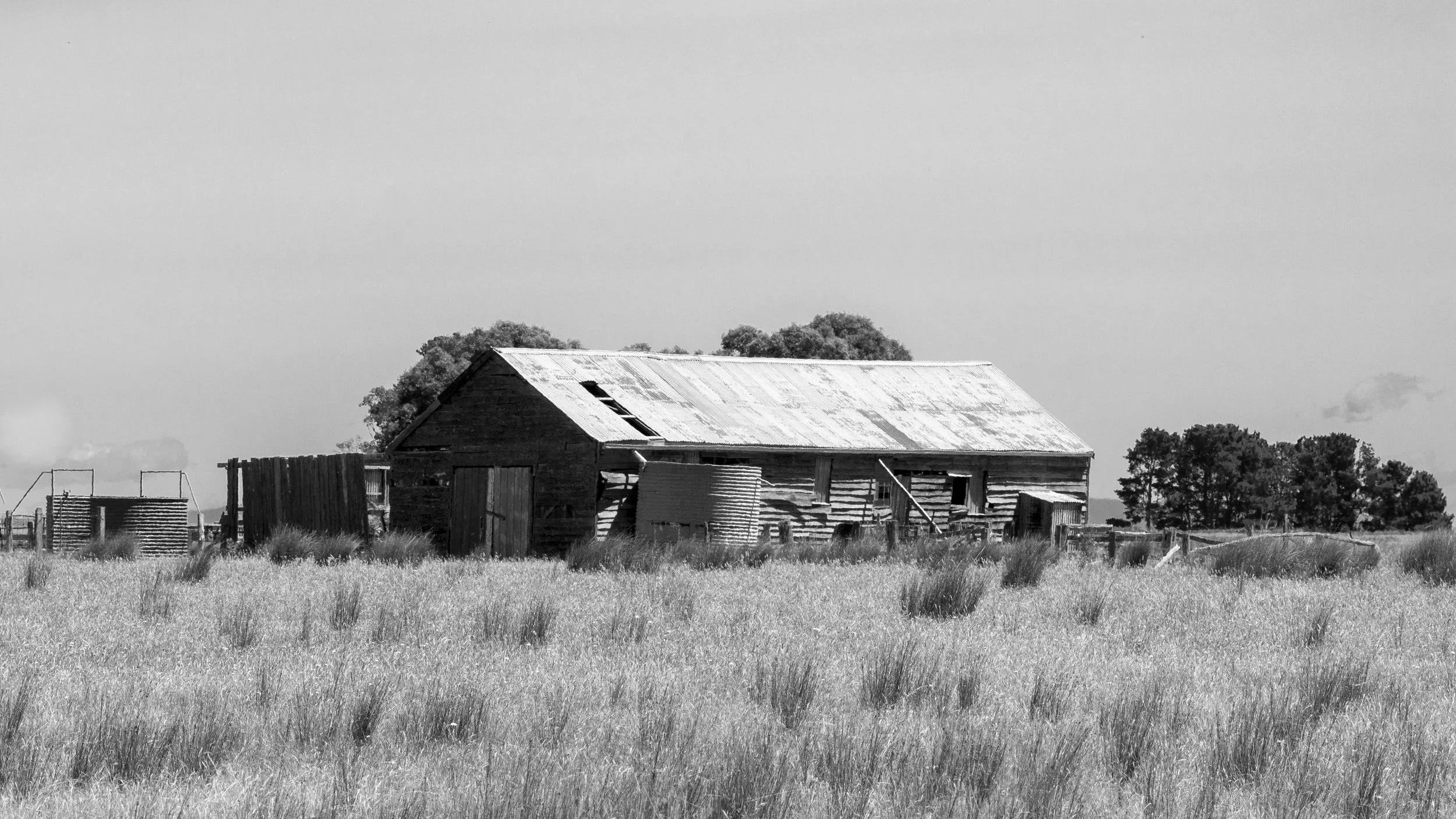 An abandoned farm shed, weathered by years of sun, wind and rain.